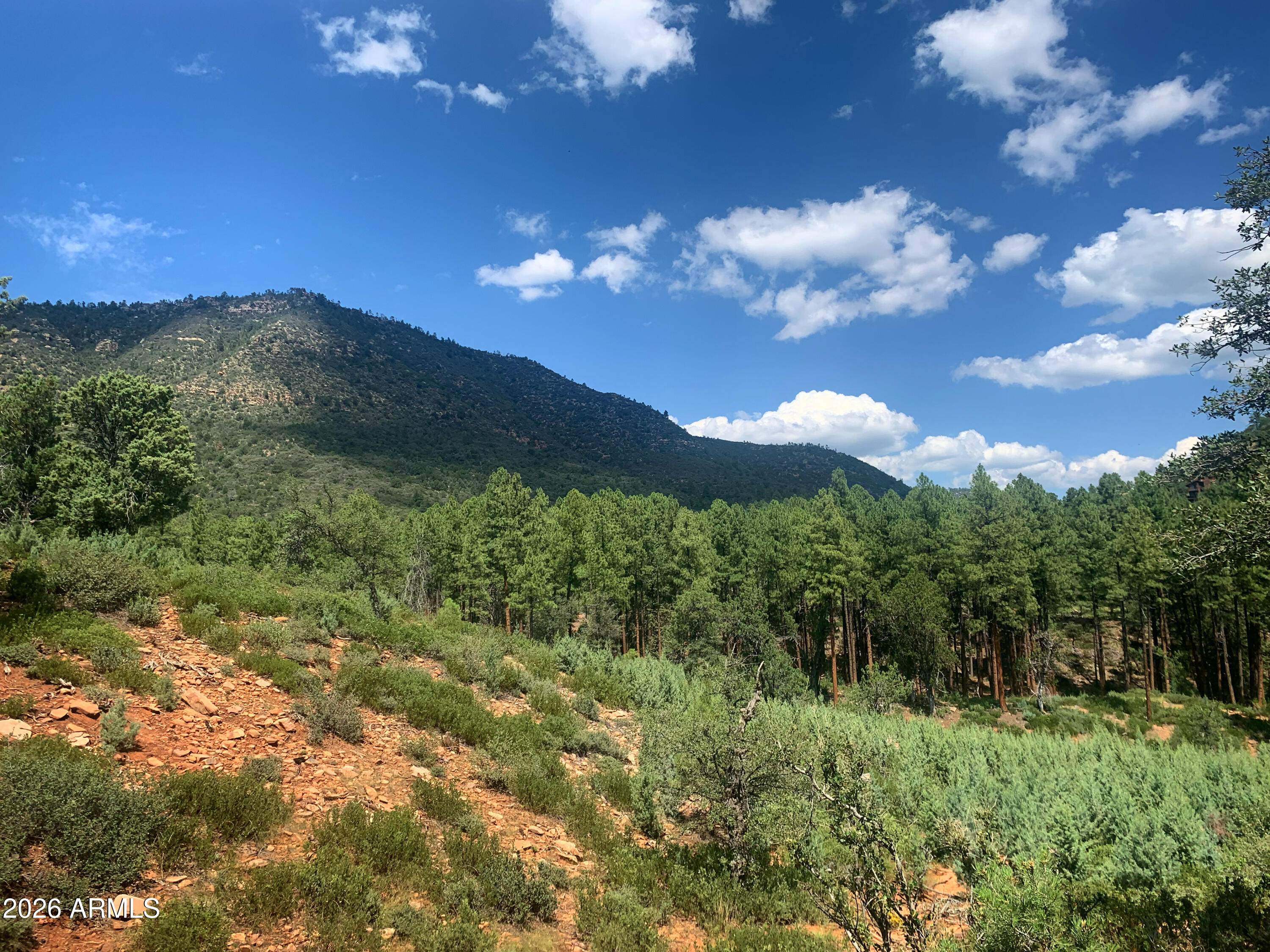 Property borders National Forest with a beautiful, breathtaking view up Pine Creek Canyon. Underground utilities, sewer and water through Pine Creek Canyon Domestic Water Improvement District (PCCDWID) Wonderful building site, ready to build!
