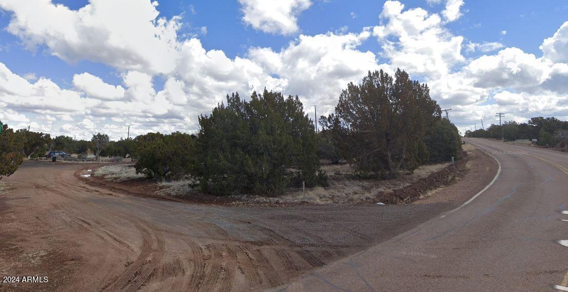 WHITE MOUNTAIN LAKE ESTATES - Land