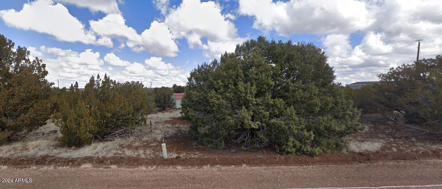 WHITE MOUNTAIN LAKE ESTATES - Land