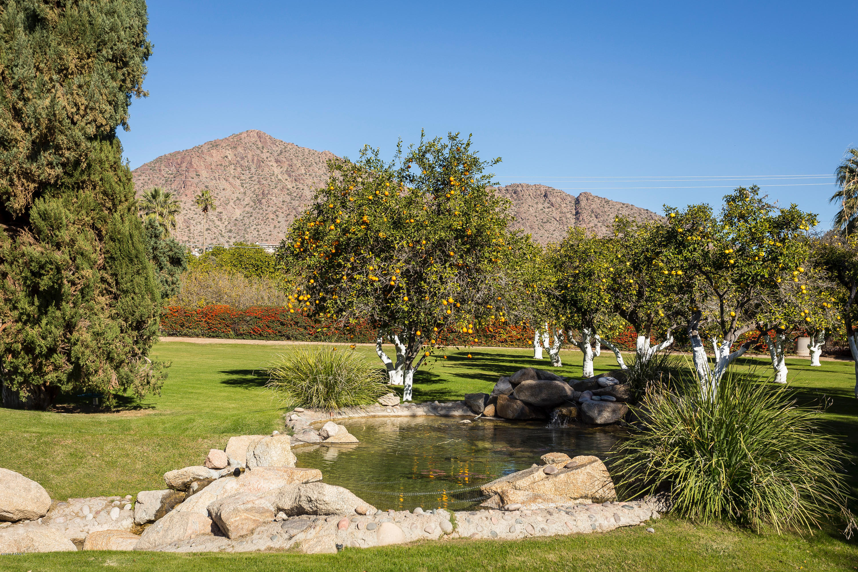 Citrus Homes - Residential