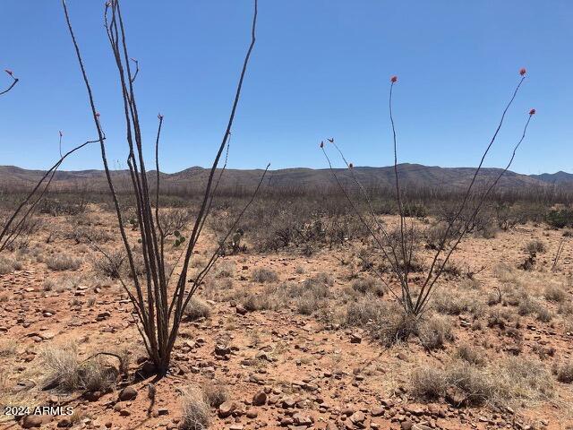MULE MOUNTAIN RANCHES PHASE 3 - Land