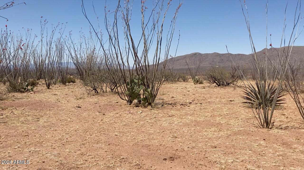 If you have a dream of owning a BIG piece of land like this, now is your chance. 36 acres of raw Arizona land in Tombstone. BREATHTAKING 360-DEGREE VIEWS from this ARIZONA DESERT PROPERTY. Perfect for off grid living. NO HOA to maintain.
