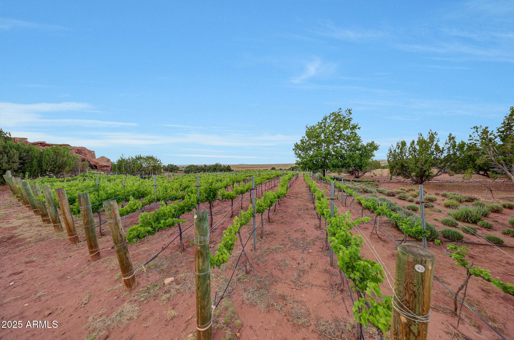 RANCHO ALEGRE - Commercial Sale