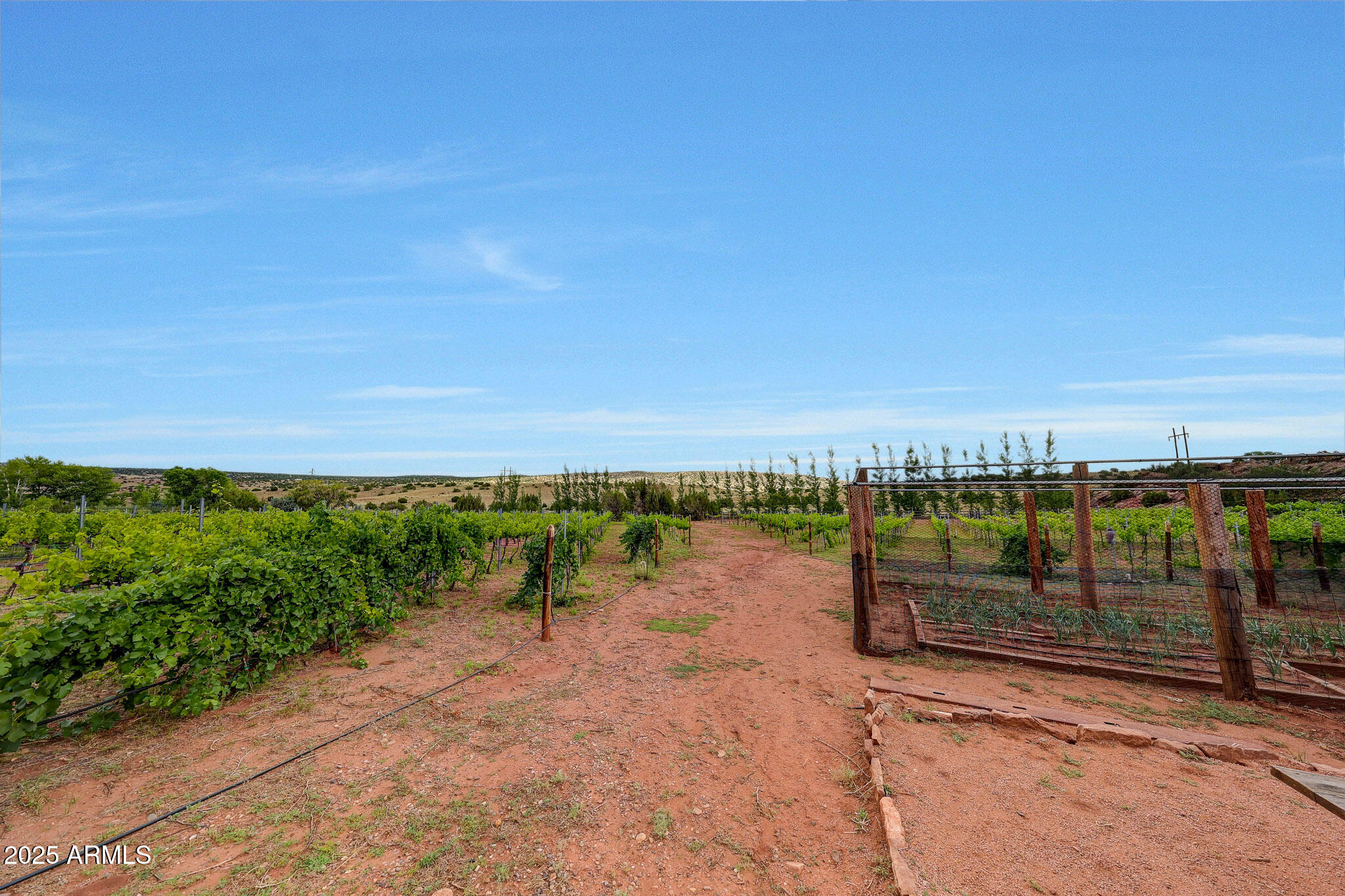 RANCHO ALEGRE - Commercial Sale
