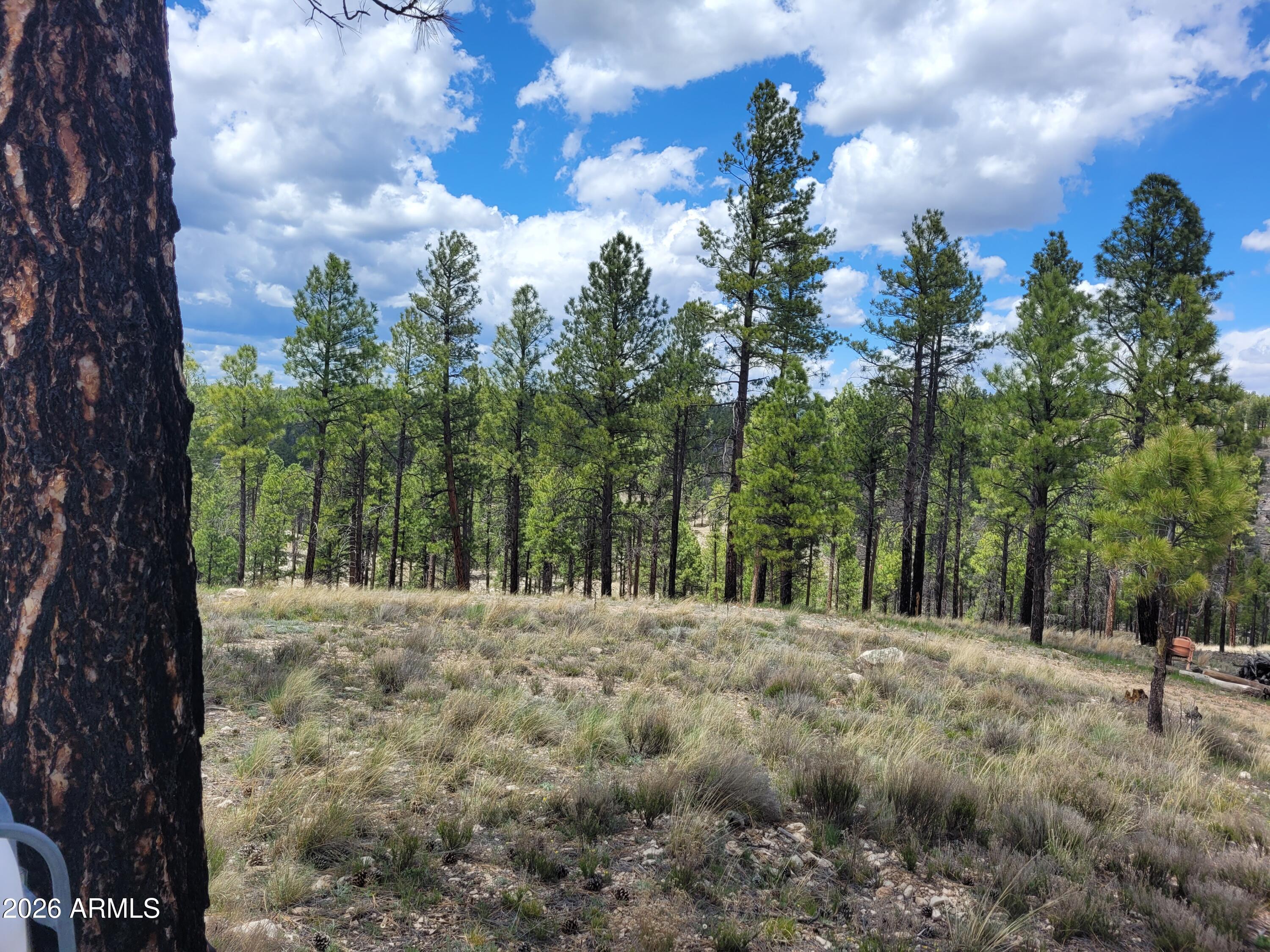 View! Views! Views! This is an stunning 10 acre parcel with long range mountain views! There are many great building sites to choose from for your dream cabin! Well and alternative septic system are installed. Electricity is on the property. Mature, tall Ponderosa Pines are on the property. The roads are maintained by the HOA year-round.  Bring your horses! This is an equestrian friendly community.