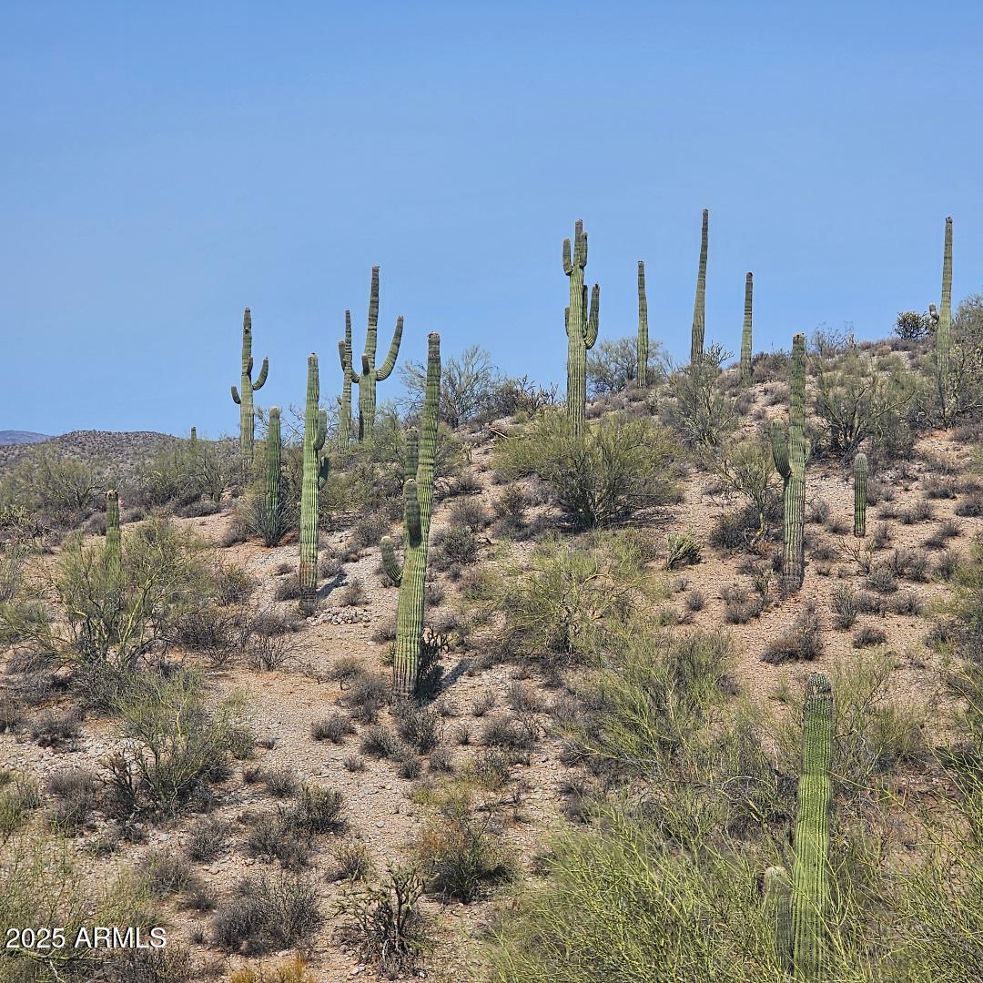 Beautiful property with amazing views. Located in Rio Vista Hills Subdivision. Build your dream home on this 5 acre parcel. Lots of room for your home, garage, barn, stalls, workshop or whatever else your heart desires. Easy access to Hwy 60. Minutes from Wickenburg. Less than 30 minutes to Surprise and all of your shopping. Bring your horses and enjoy our Roping Capital. Close to numerous arenas in the area. If you do not have horses, relax and enjoy our beautiful sunsets and sunrises. Come take a look!! You will not be disappointed.