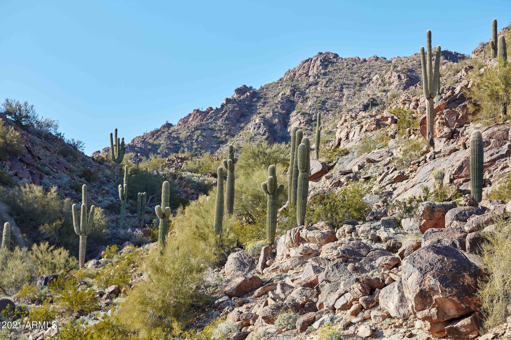 Ascent at the Phoenician - Residential