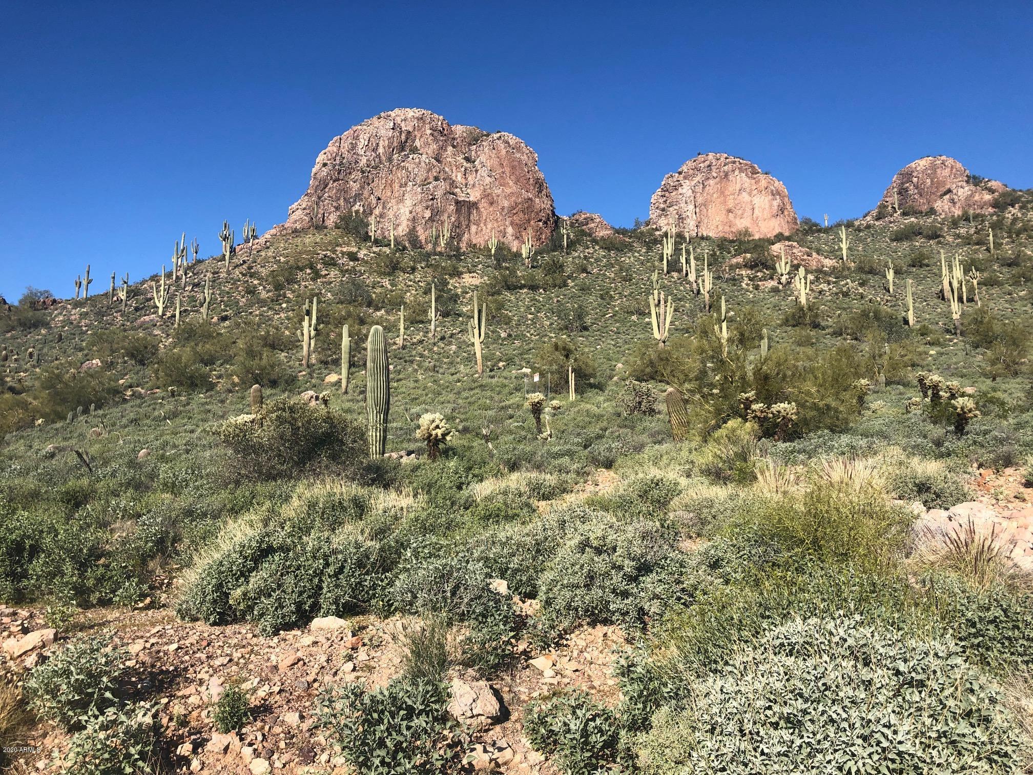 PURPLE SAGE II & III AT GOLD CANYON EAST Lot 9 - Land