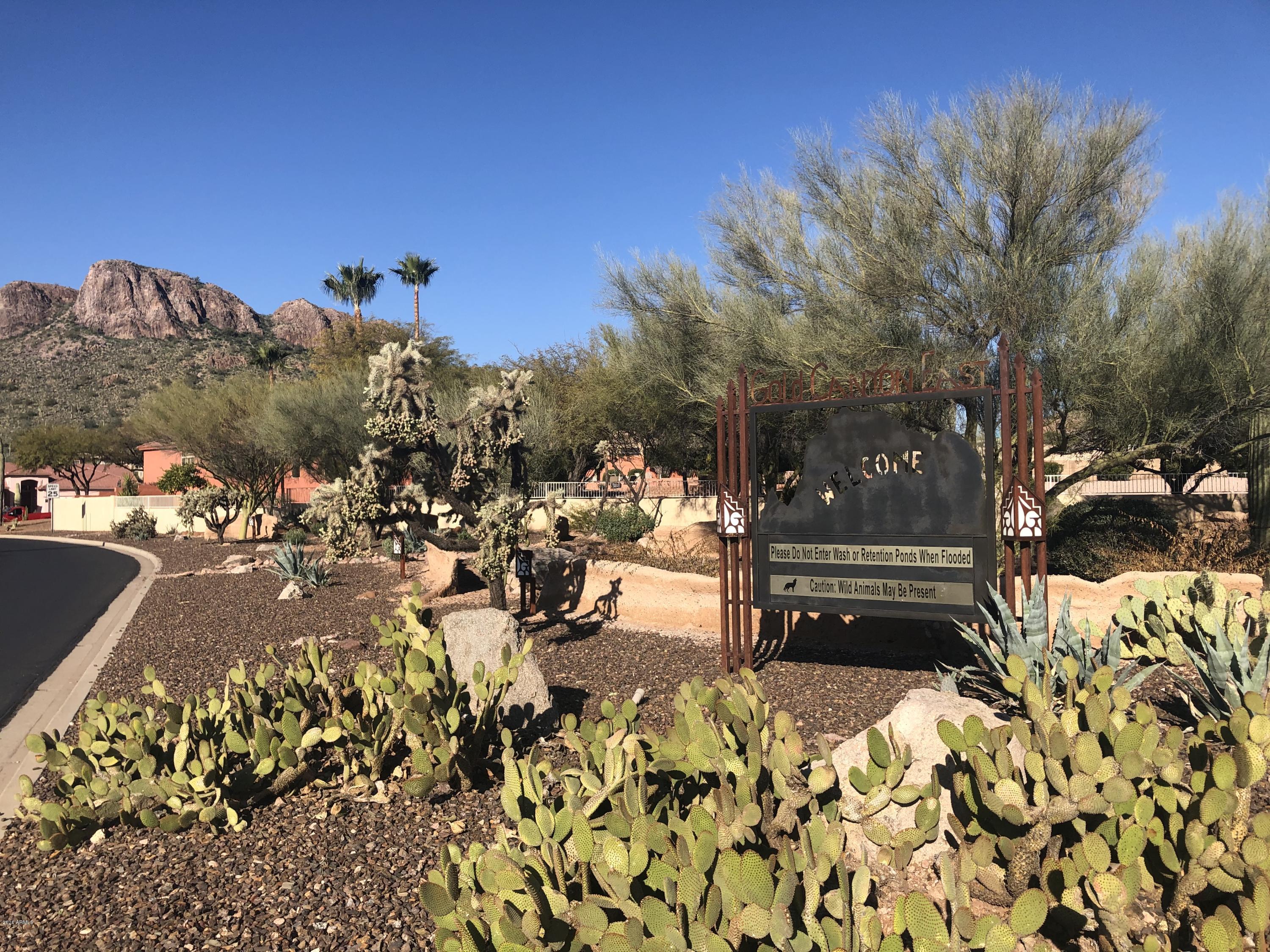 PURPLE SAGE II & III AT GOLD CANYON EAST Lot 9 - Land