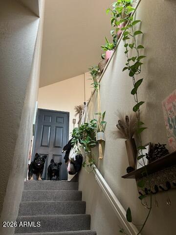 PARK CENTRE CASITAS - Residential