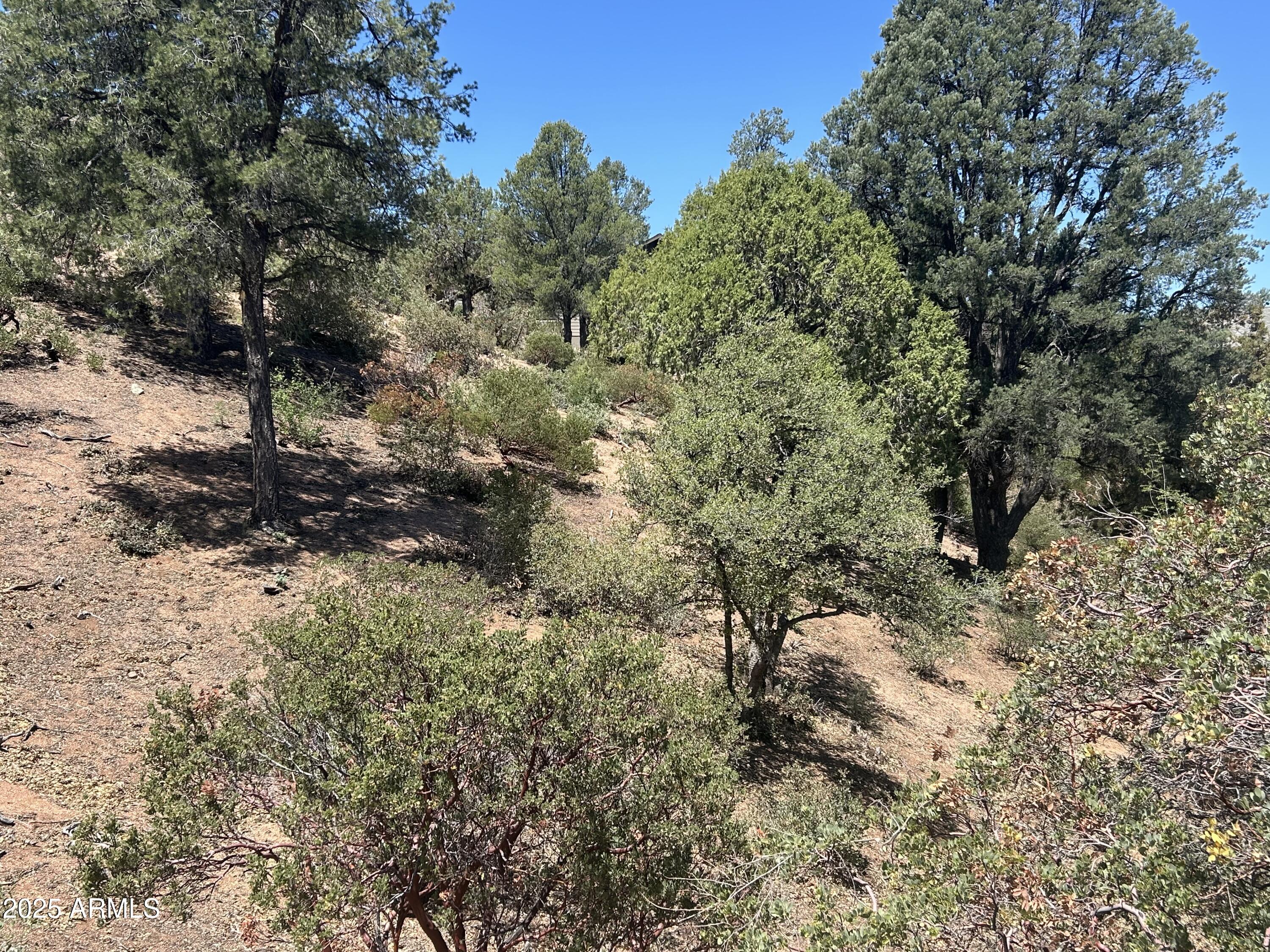 CHAPARRAL PINES PHASE 2 - Land