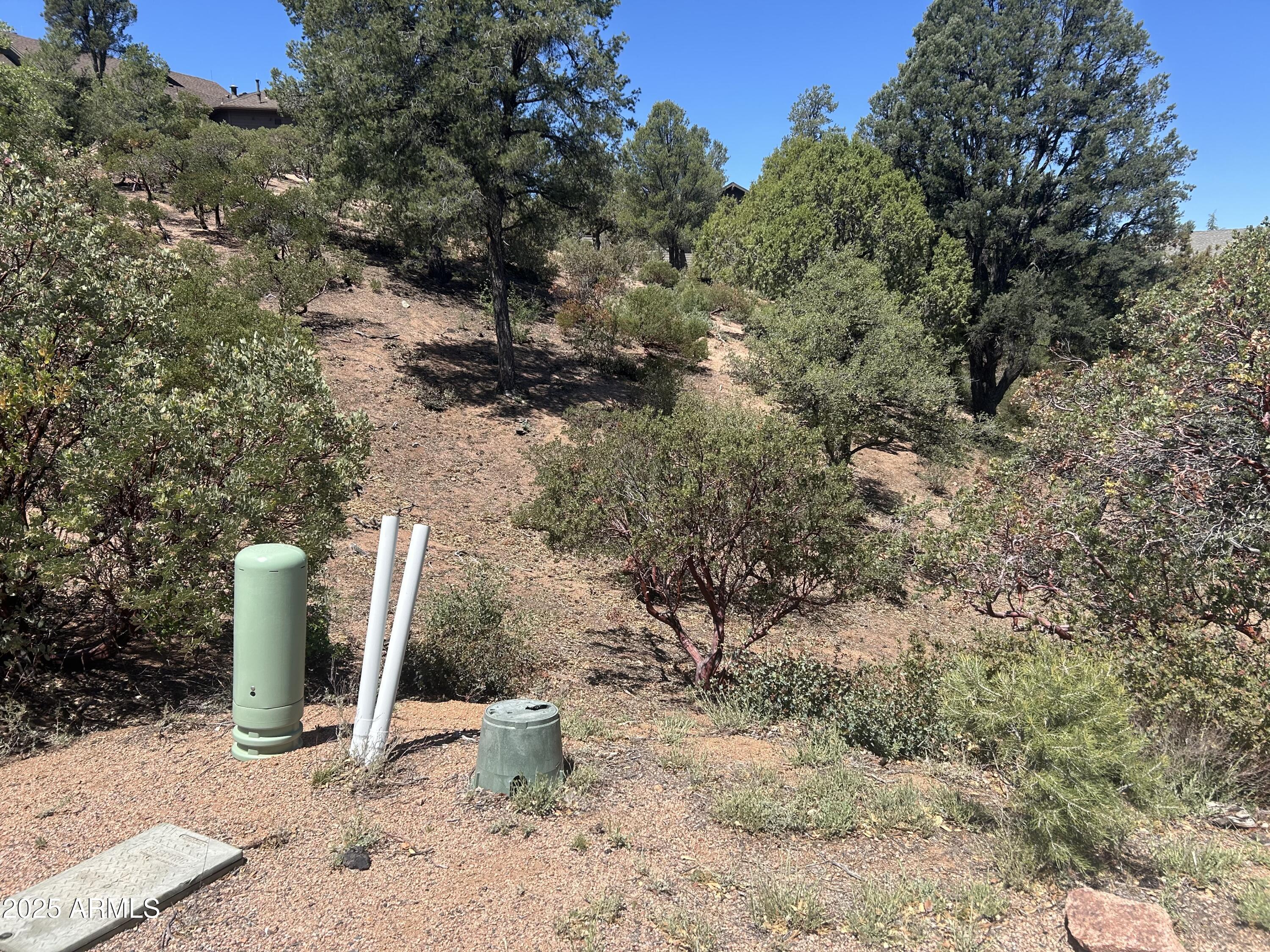 CHAPARRAL PINES PHASE 2 - Land
