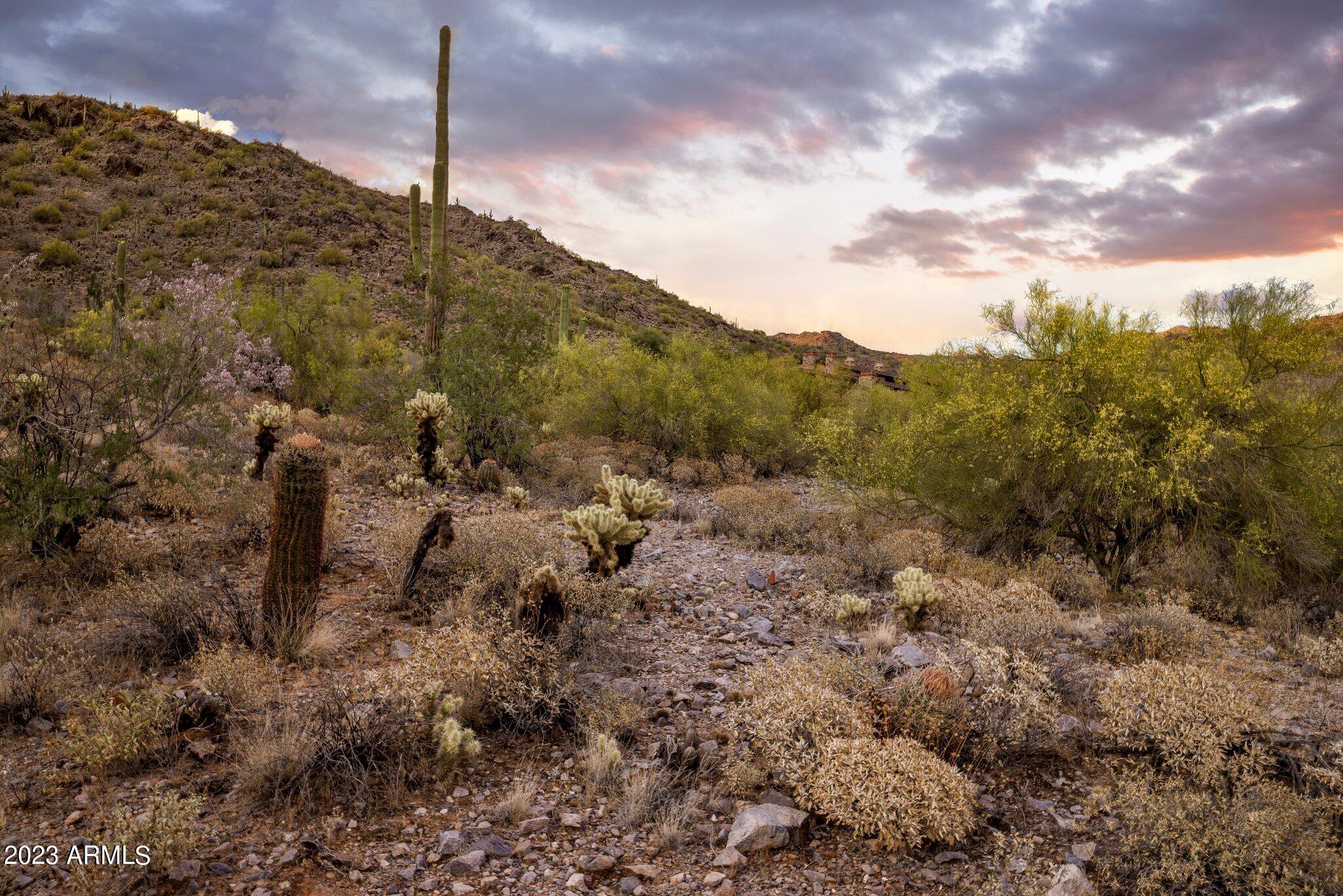 Silverleaf Horseshoe Canyon - Land