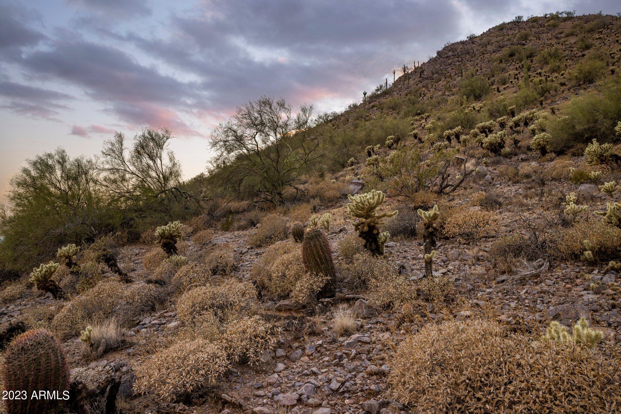 Silverleaf Horseshoe Canyon - Land