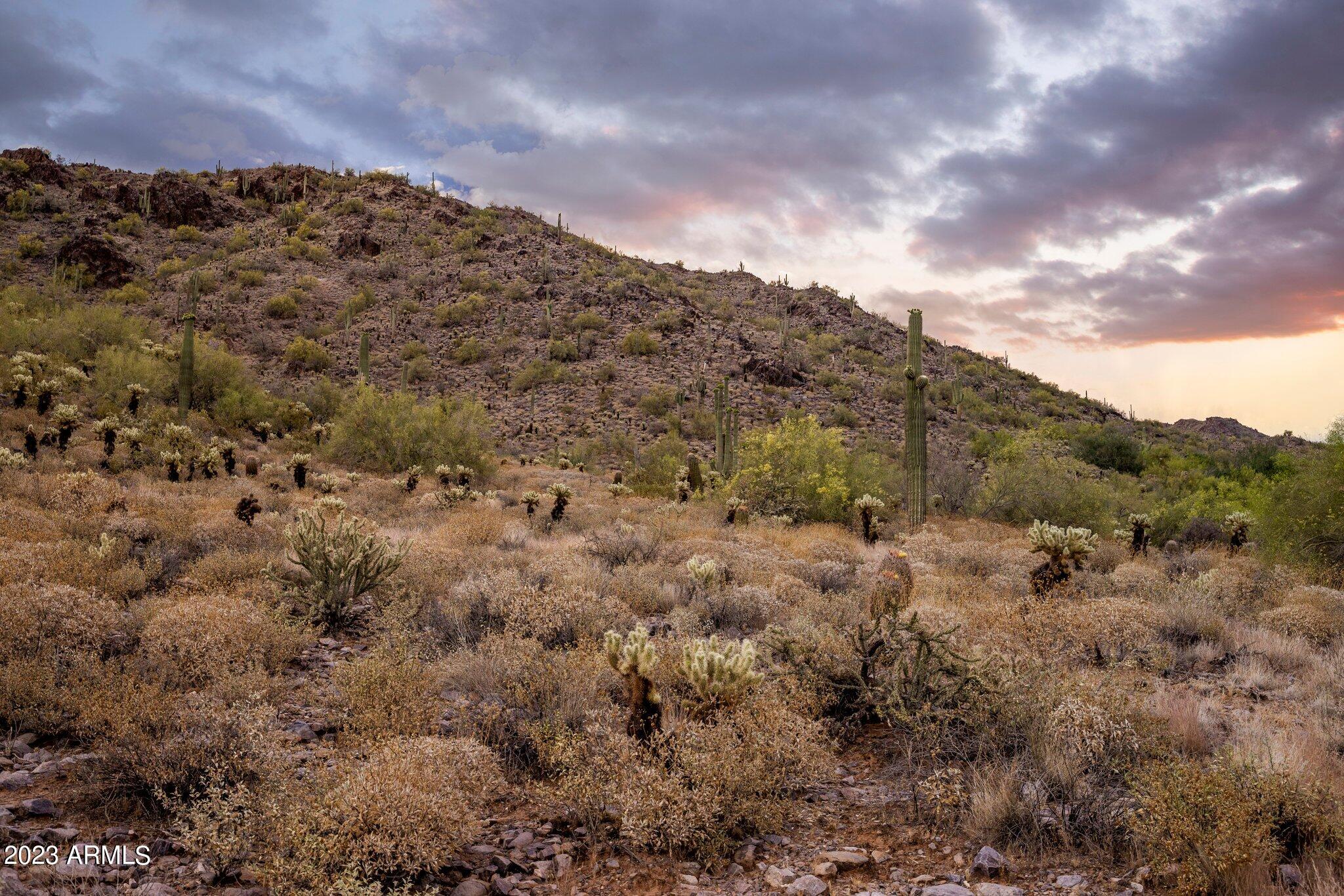Silverleaf Horseshoe Canyon - Land