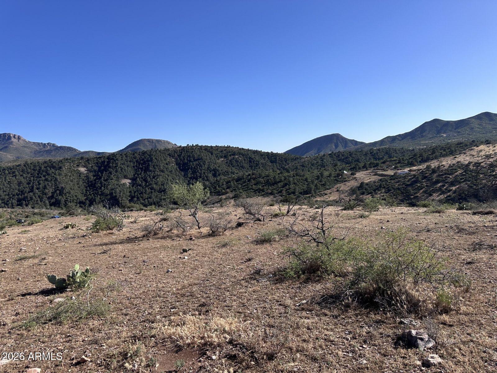 Escape to your own private slice of the Arizona countryside with this stunning 16.8 Acre vacant land parcel just 15 minutes from Globe. Surrounded by breathtaking 360 degree mountain views, this property offers the peace, privacy, and freedom hat so many dream about but few ever find. Bordering BLM land, you'll enjoy endless open space, hiking, horseback riding, adventuring and abundant wildlife right outside your door. Watch spectacular sunrises, sunsets and unlimited stargazing nights untouched by big city lights. If you've been searching for room to roam, unmatched scenery, and true country living, this exceptional property is ready to make your vision a reality.