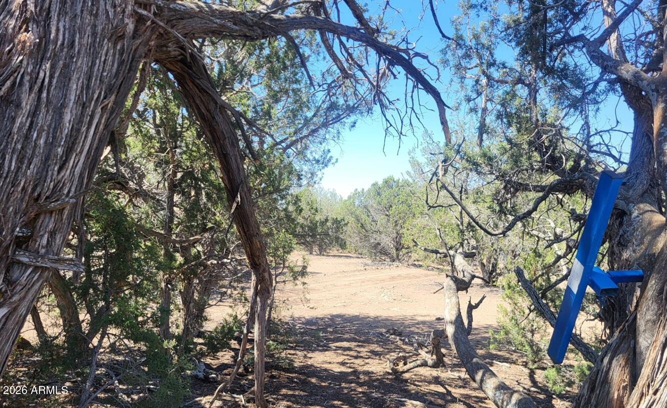 Westwood Ranches an Off Grid Community - Land