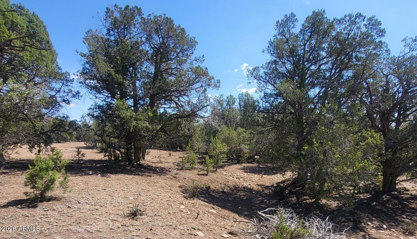 Westwood Ranches an Off Grid Community - Land