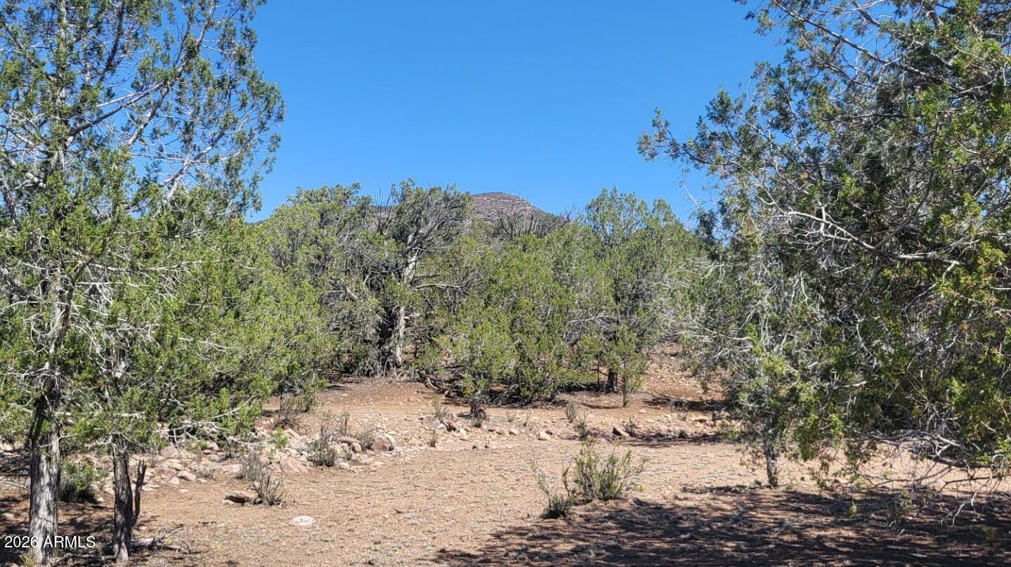 Westwood Ranches an Off Grid Community - Land