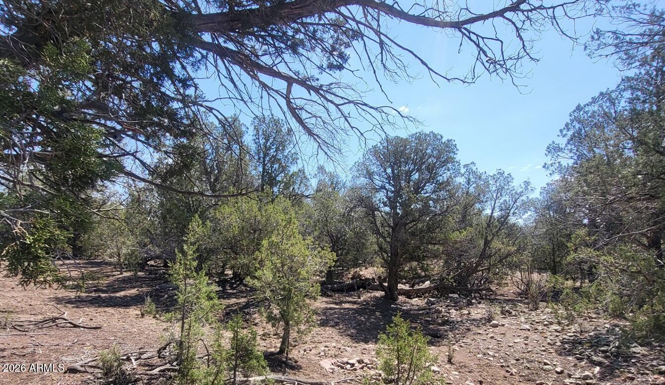 Westwood Ranches an Off Grid Community - Land