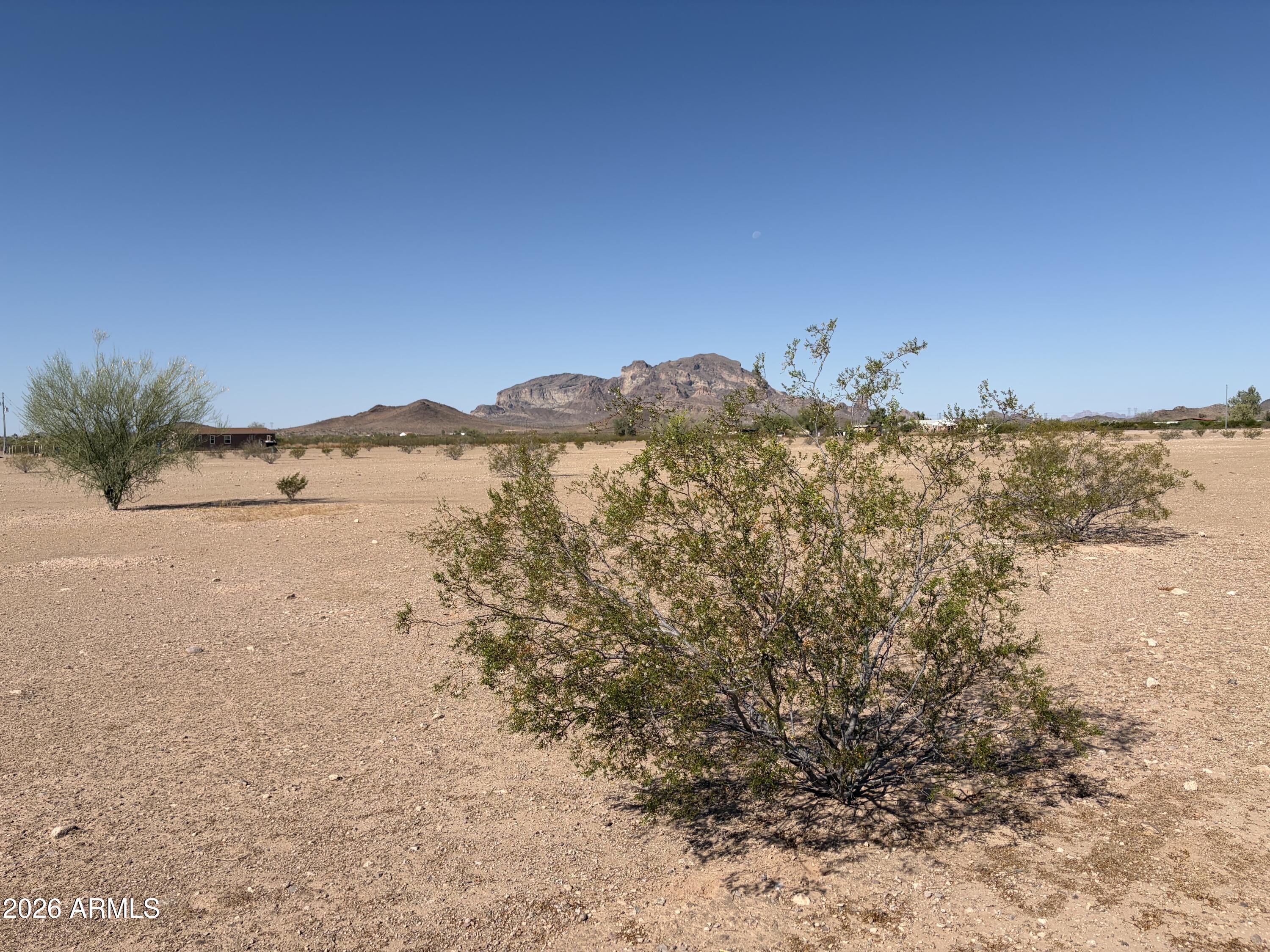 SADDLE VISTA - Land