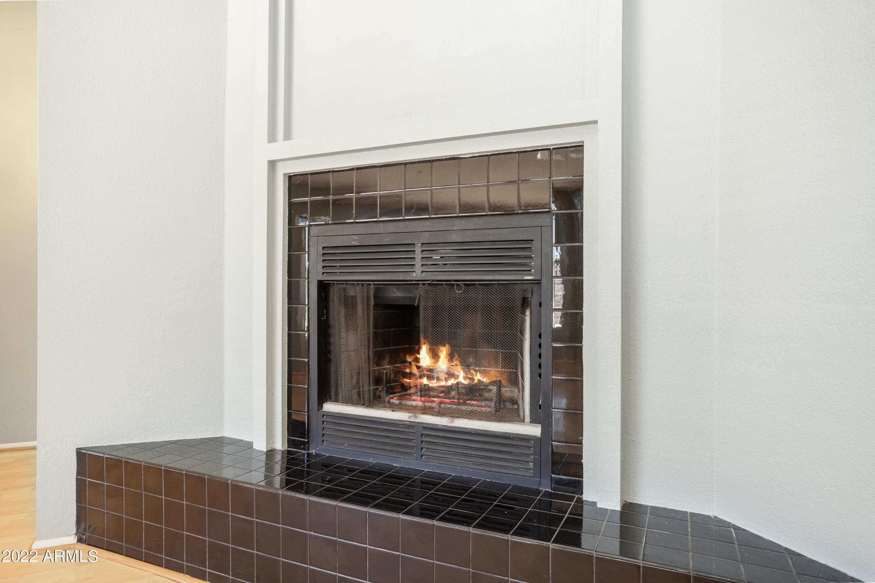 SHADOW RIDGE - Residential