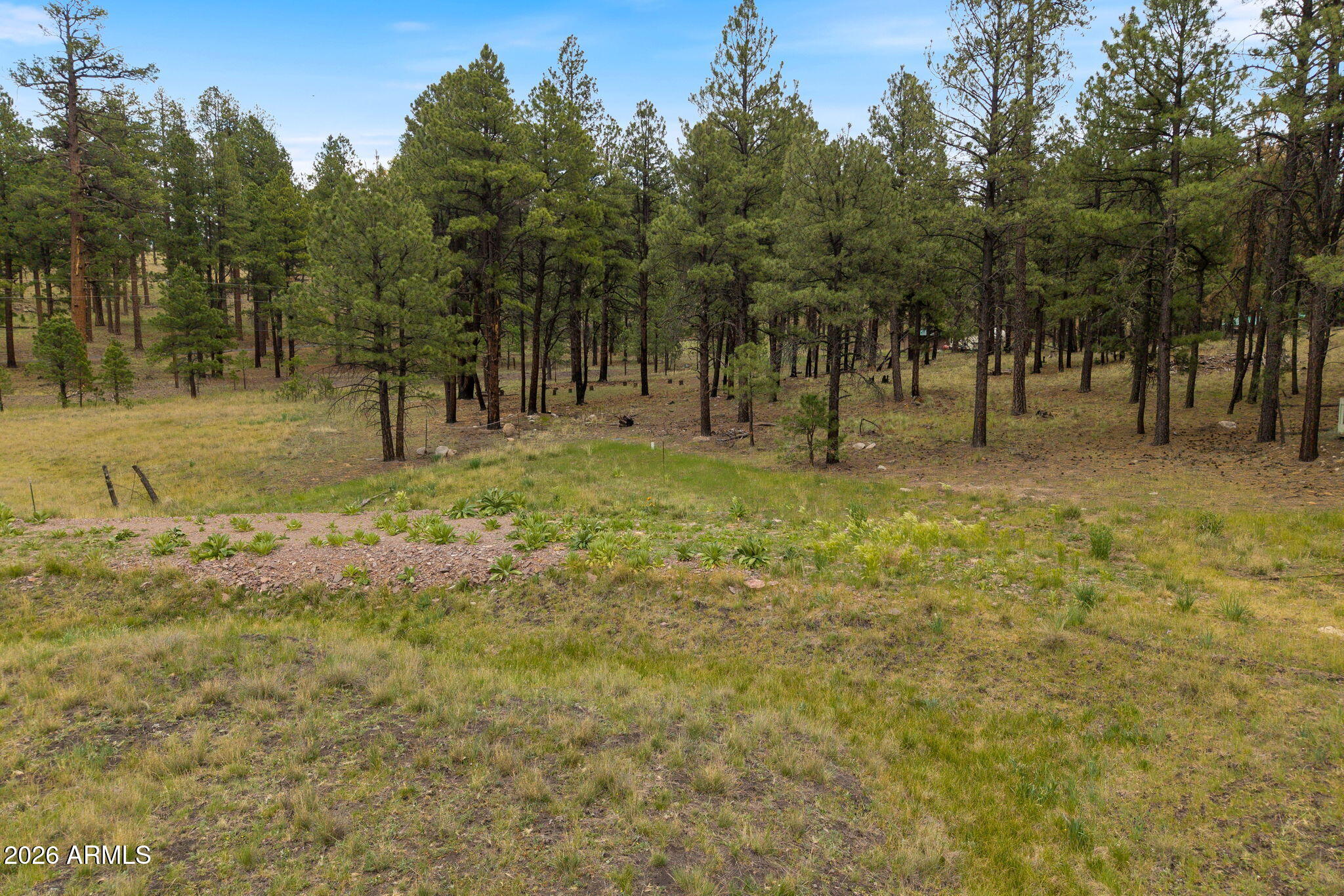 Ready to enjoy from day one! This 1.70-acre Alpine property offers improvements that are difficult and costly to replicate, including
water service, an installed septic system connected to the Alpine sanitary sewer system, and RV hookups already in place. Bring your RV today or start
planning your dream cabin in Arizona's White Mountains. With ample space, beautiful surroundings, and flexible use options, this property provides
exceptional value and a head start on building your mountain getaway. Enjoy cool summers, abundant wildlife, fishing, hiking, and all the outdoor
recreation Alpine is known for.