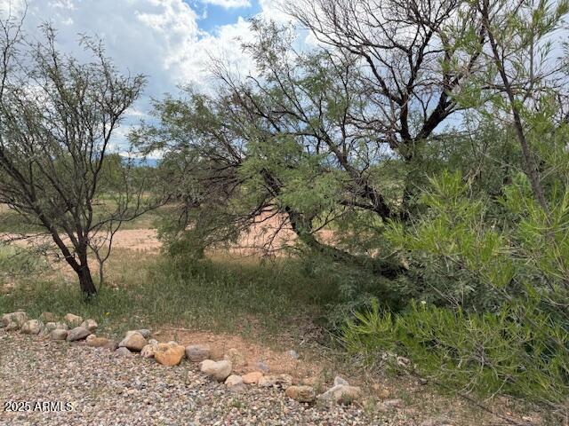 Sierra Vista Village - Residential