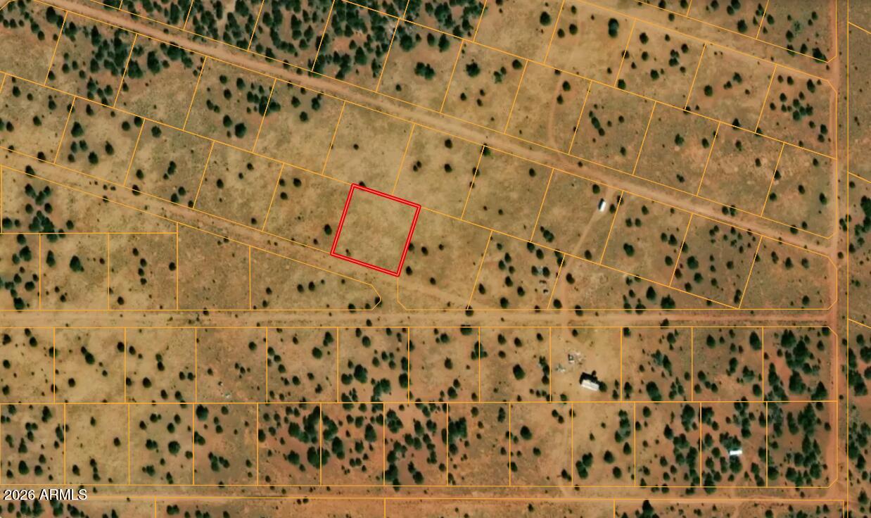 Discover wide-open Arizona skies and peaceful seclusion with this beautiful parcel located near Valle, just outside the Grand Canyon gateway corridor. Enjoy expansive views of high desert terrain, open horizons, and incredible star-filled nights. This area is known for its quiet atmosphere, natural beauty, and proximity to outdoor recreation.

This property offers excellent potential for long-term investment, recreational use, or future development as the region continues to grow. The setting provides true privacy and a sense of escape from city congestion. OWNER WILL CARRY