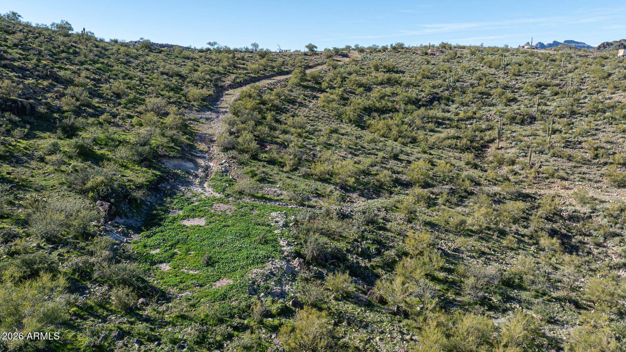 Pleasant Country Ranches - Land