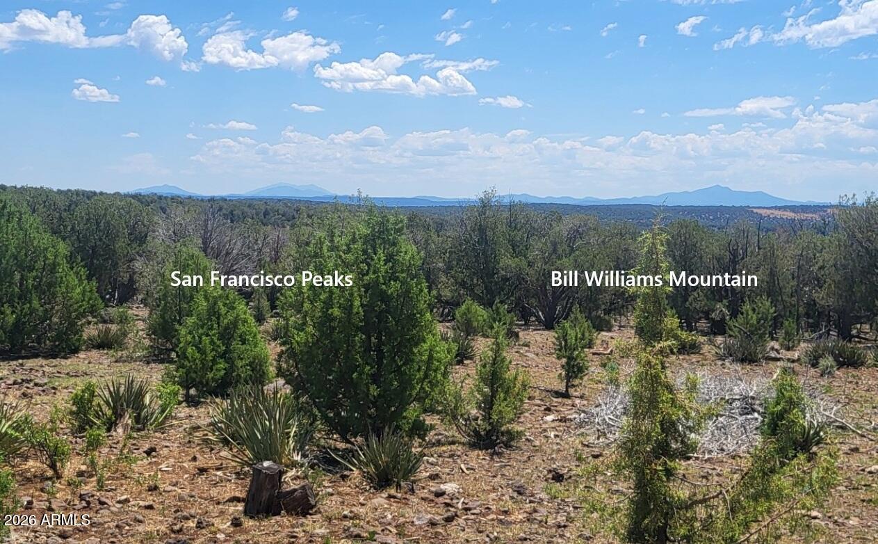 WESTWOOD RANCHES PHASE 9 - Land