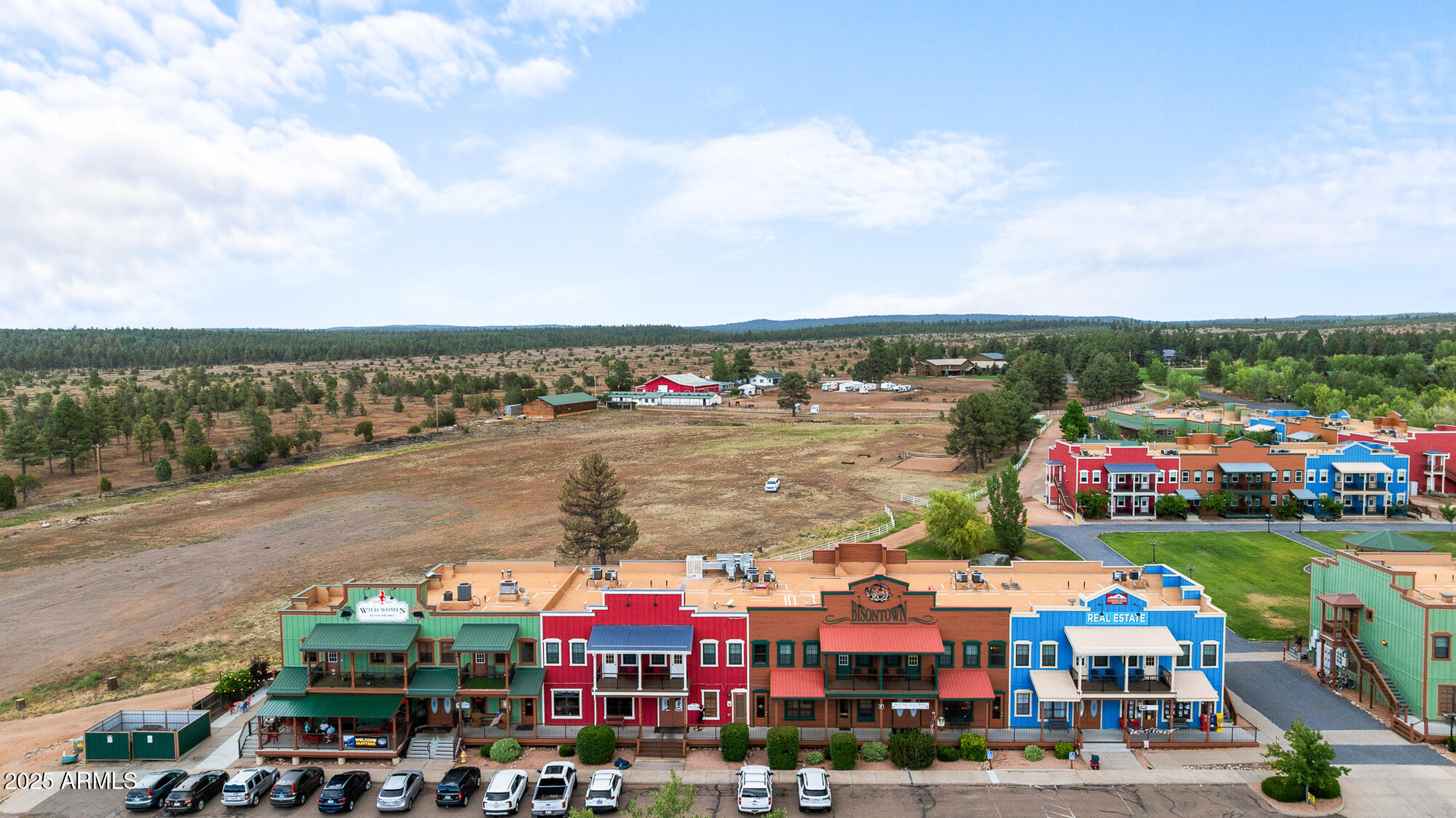 BISONTOWN UNIT 1 - Residential