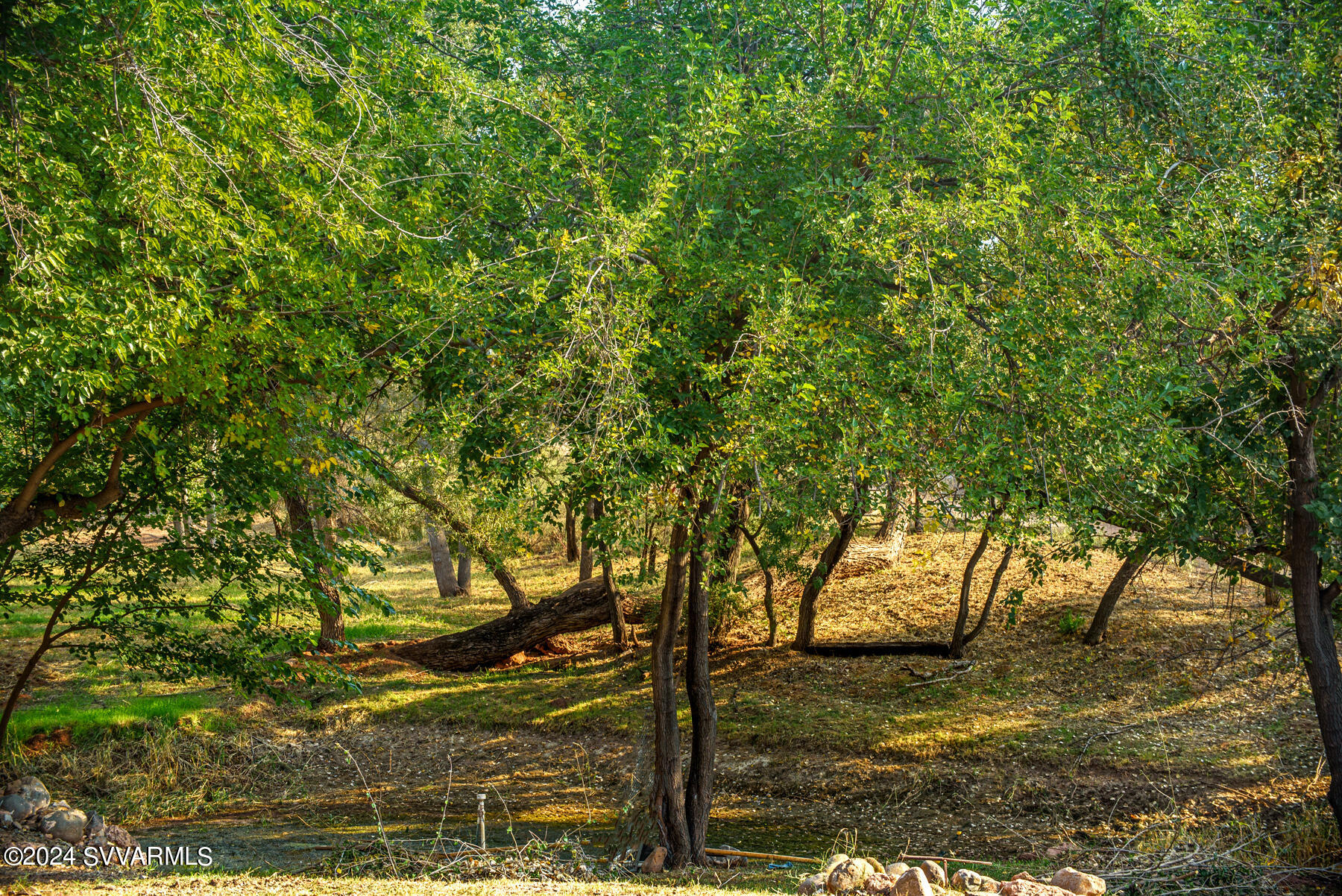 5 Acres or More - Residential