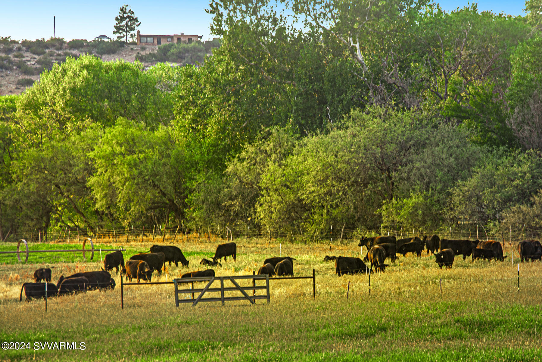 5 Acres or More - Residential