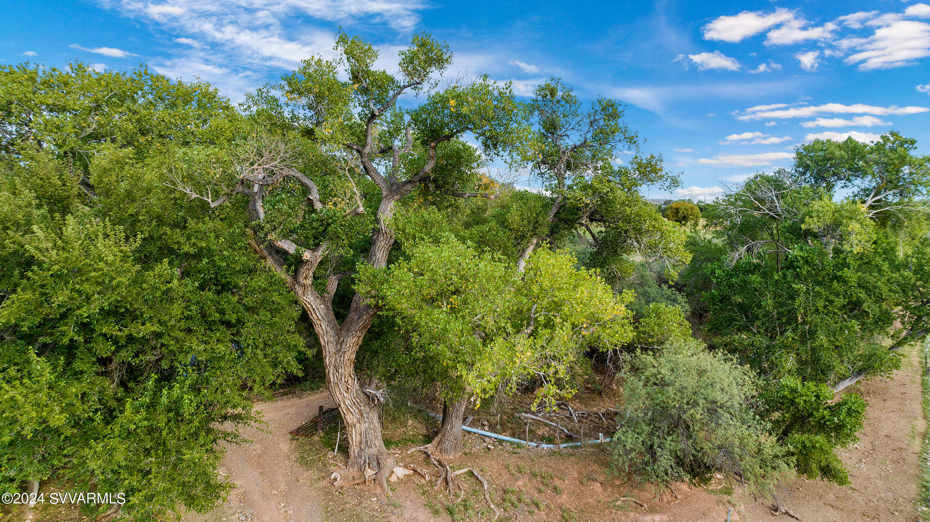 5 Acres or More - Residential