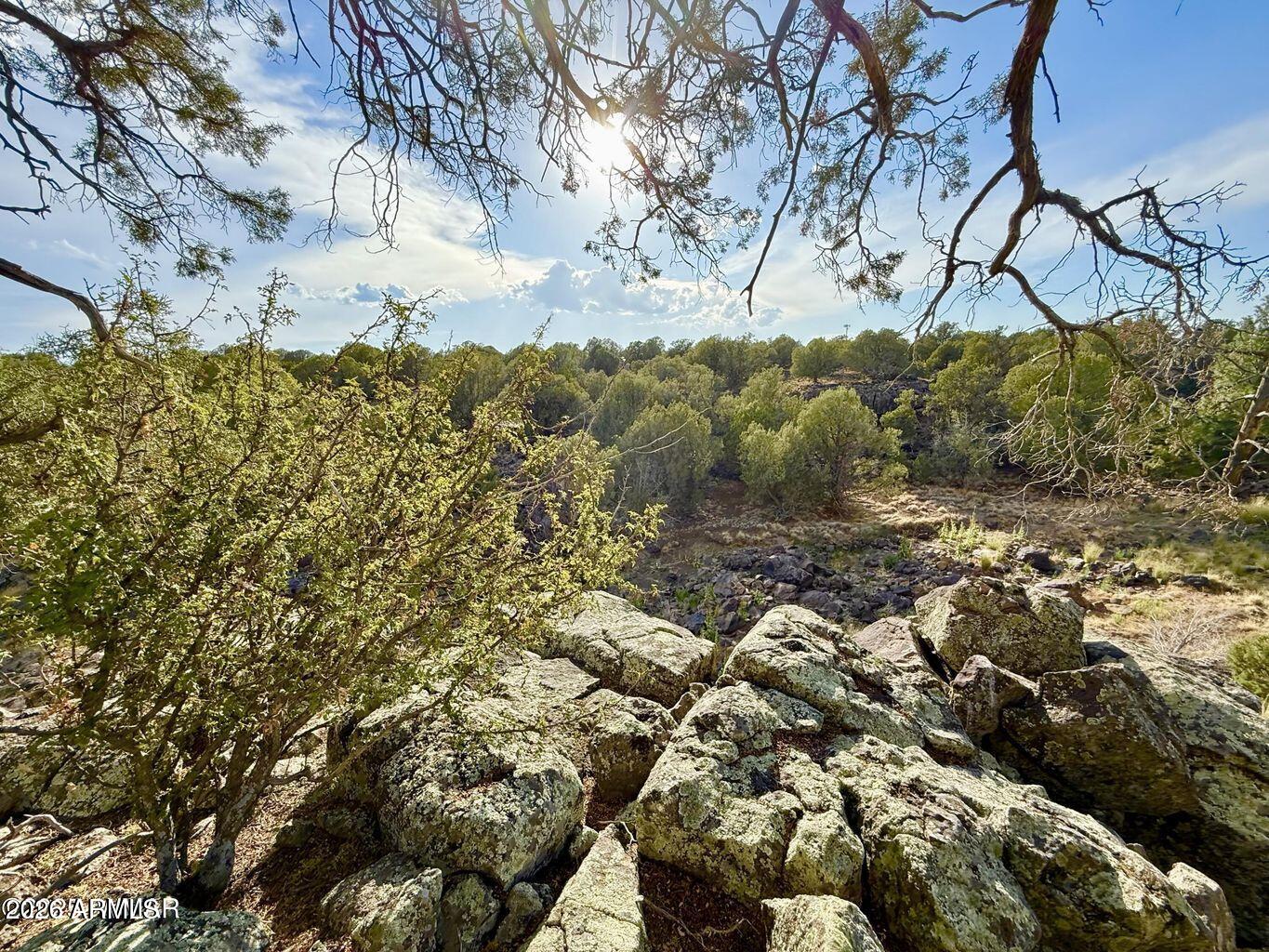 White Mountain Lakes - Land