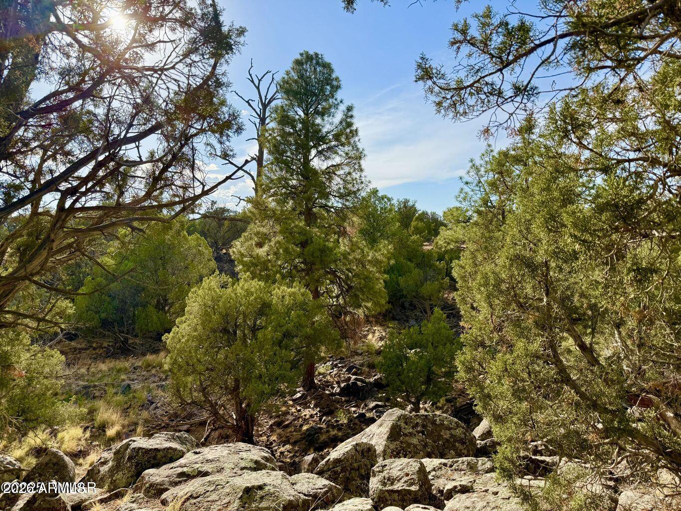 White Mountain Lakes - Land
