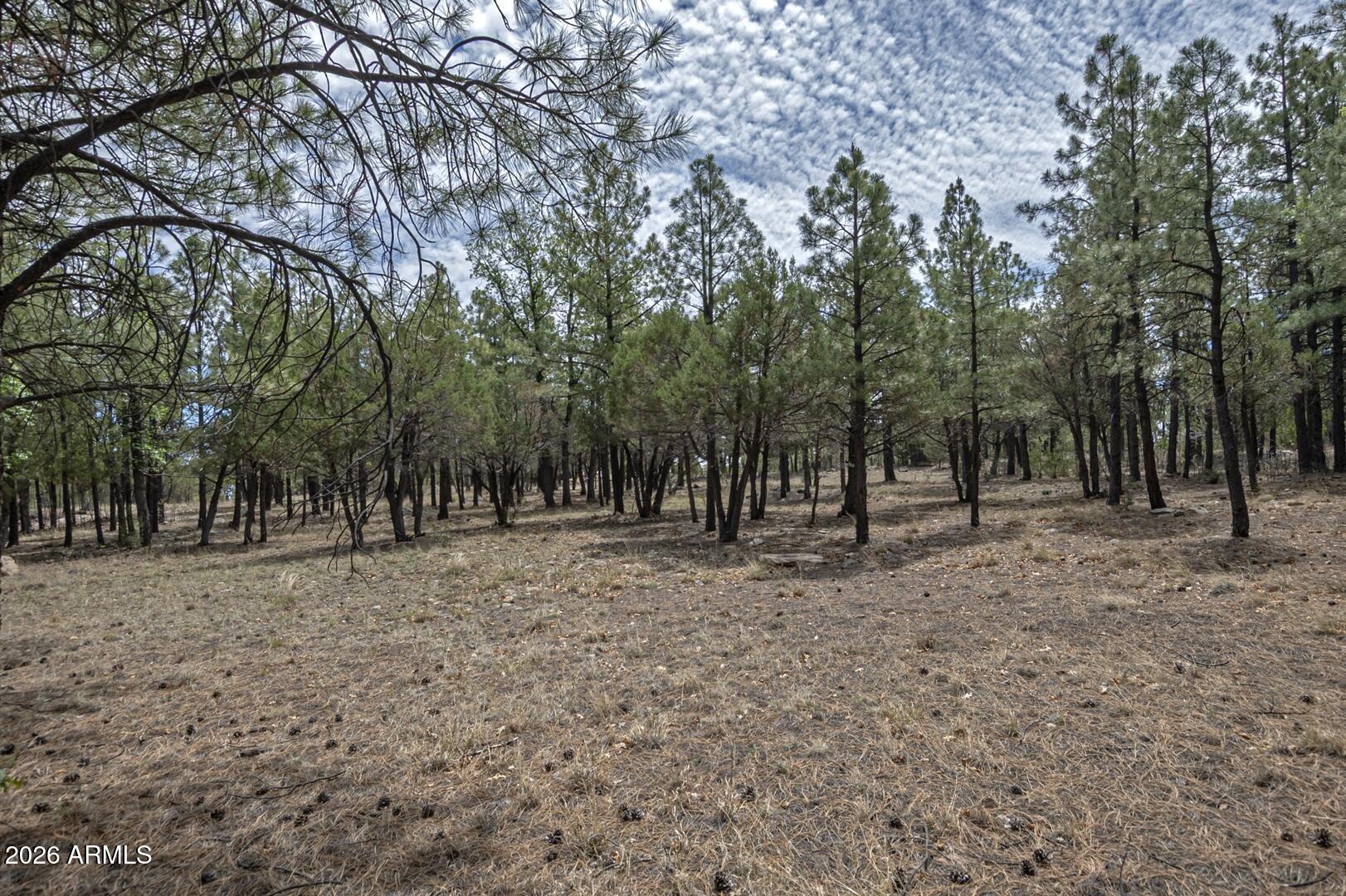Starlight Pines - Residential