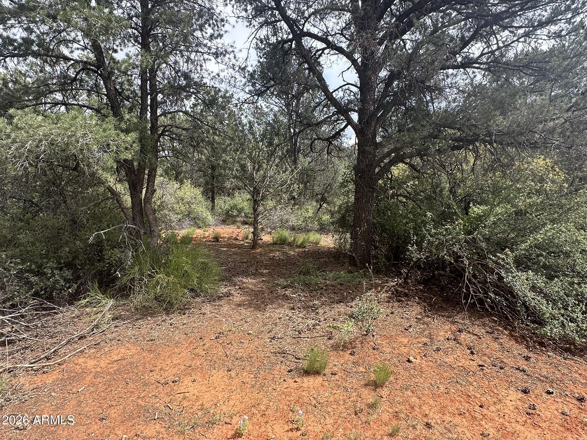 CEDAR RIDGE - Land