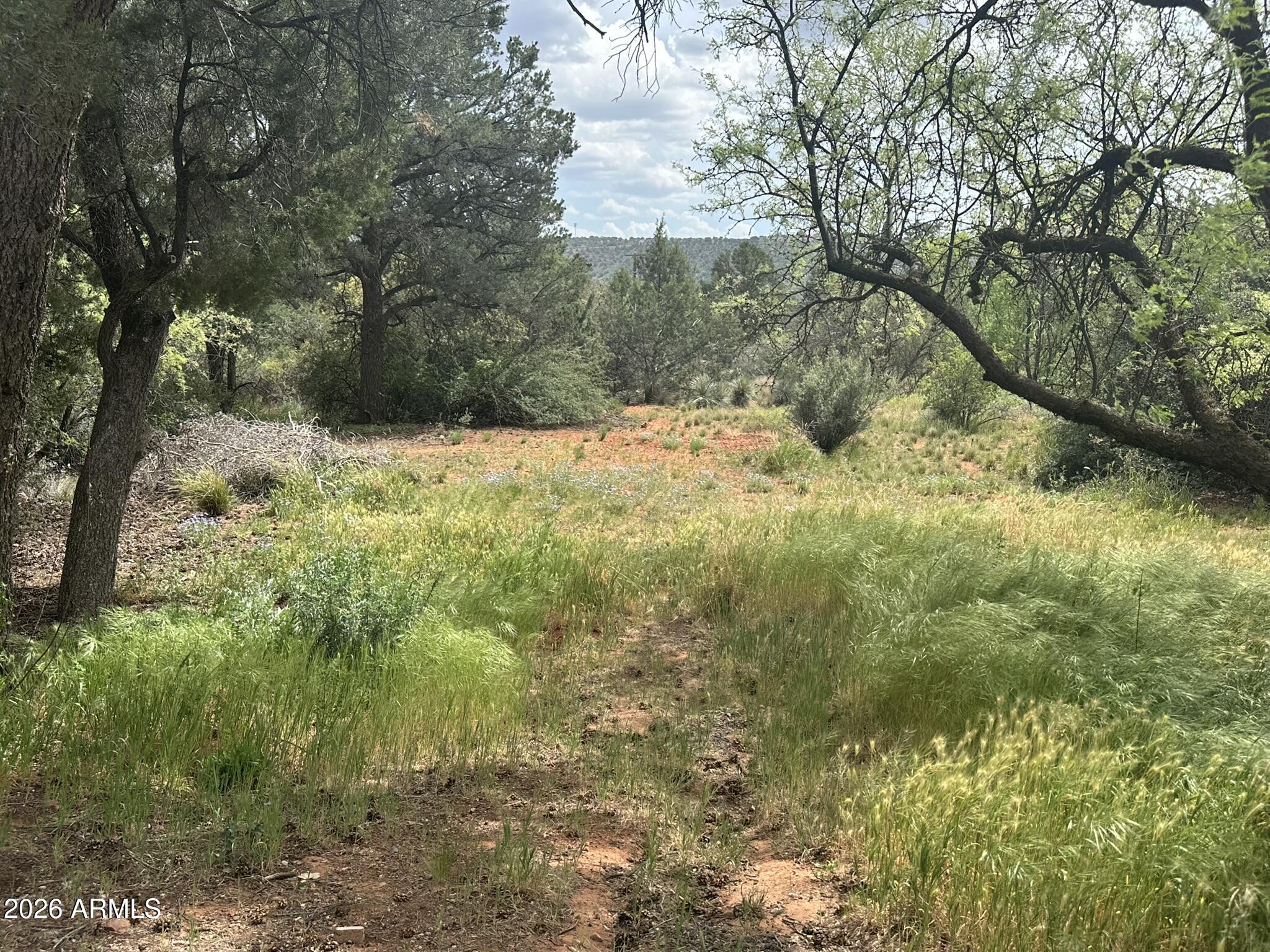 CEDAR RIDGE - Land