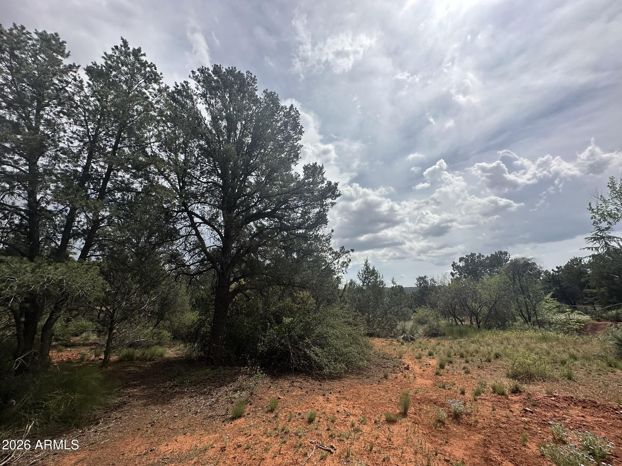 CEDAR RIDGE - Land