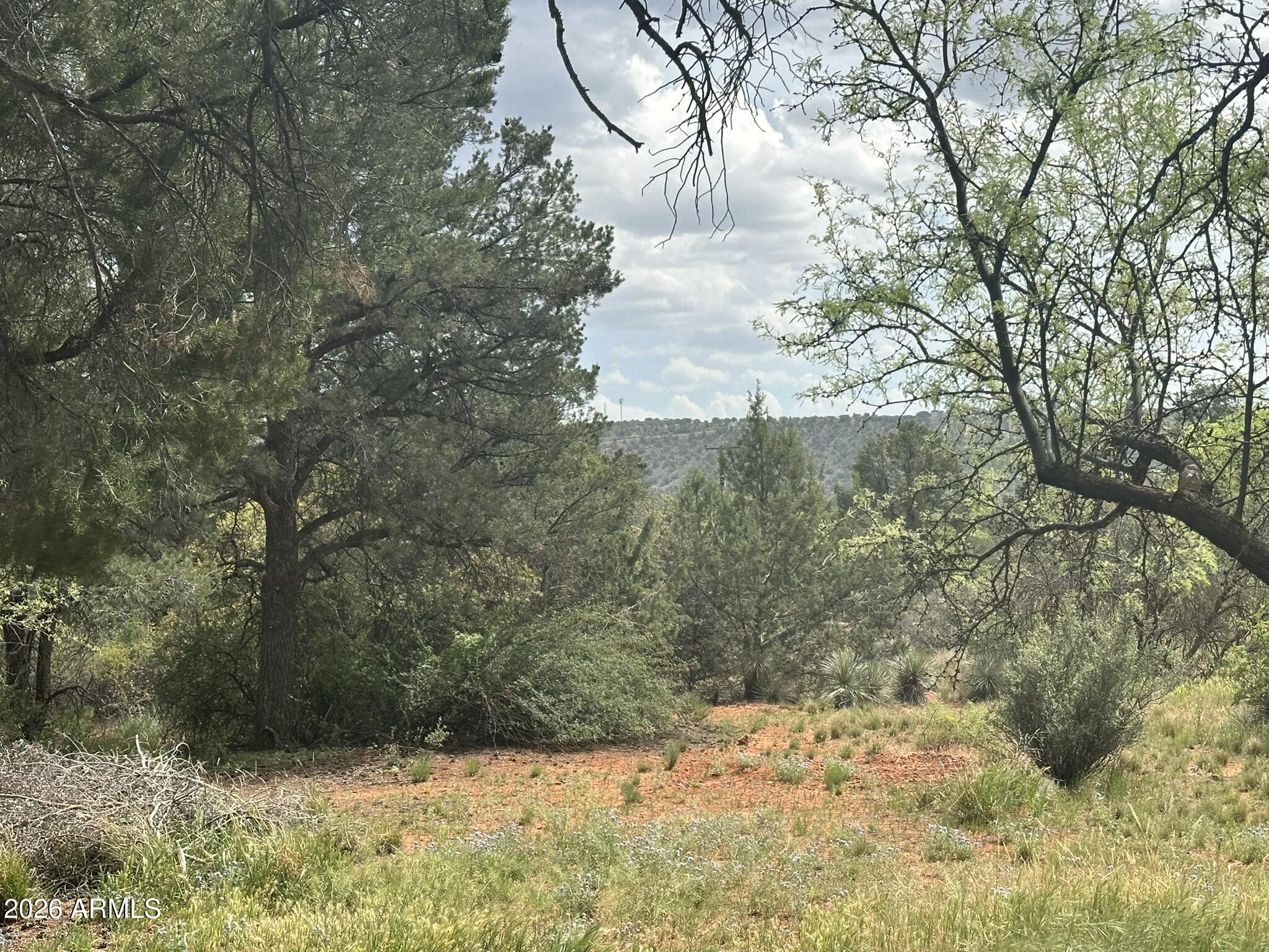 .5 acre lot, flat buildable, at the end of a cul-de-sac in the desirable neighborhood of Cedar Ridge.    Utilities at the lot line.   Very low HOA.  Great trees and natural vegetation to create your own oasis.   Soil report done. 2400 Sq Ft house plans available; 3 bedrooms, 4 bath, 2 car garage.  
Custom home plans are complete and ready to submit to the city for building permit. Including Topo survey, soil report and structural engineering.
Great lot, great location.  Don't miss your opportunity to build your dream home on this lovely lot.