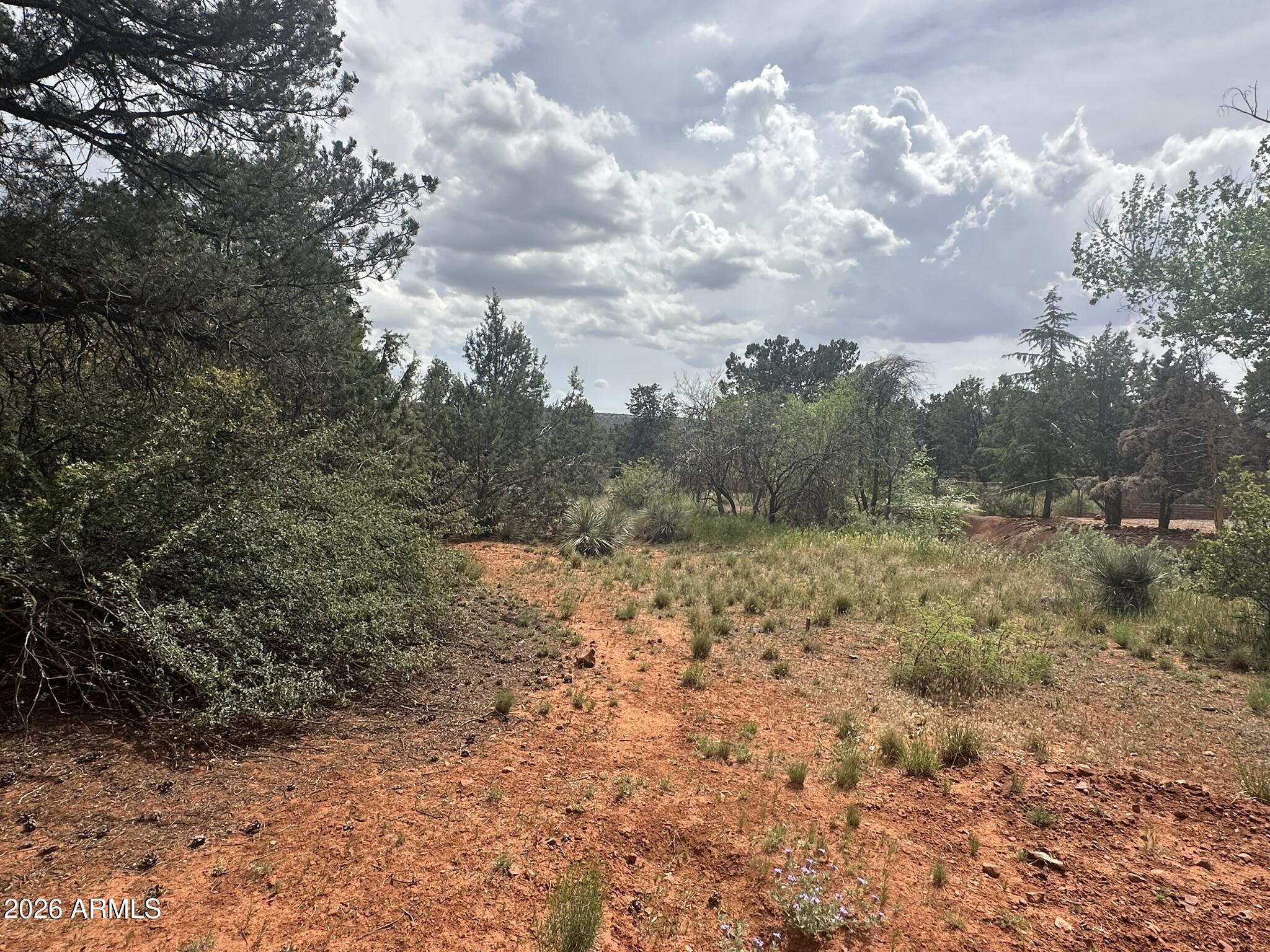 CEDAR RIDGE - Land