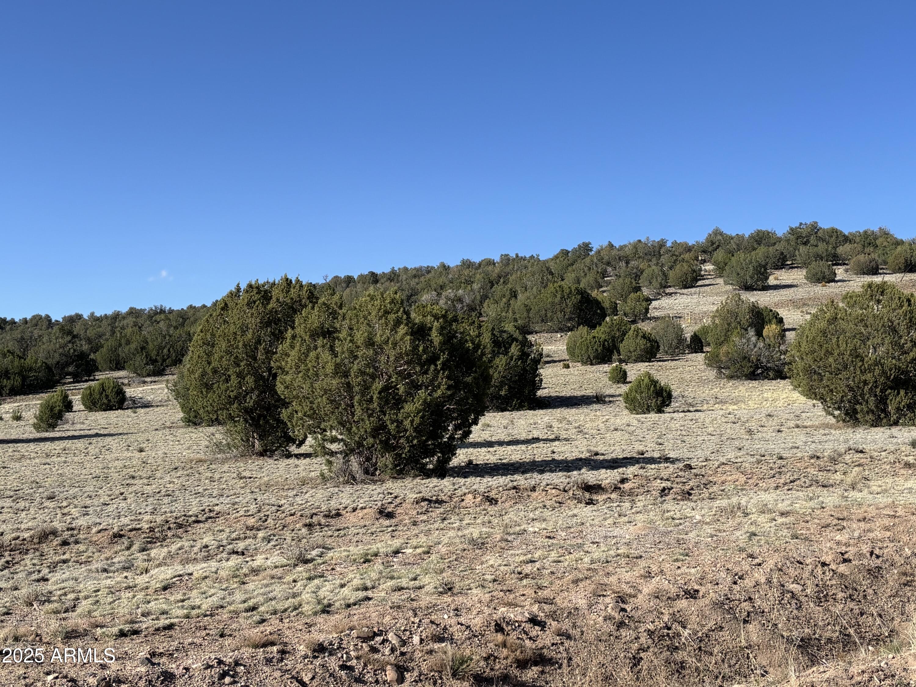 SIERRA VERDE RANCH UNIT 36 - Land