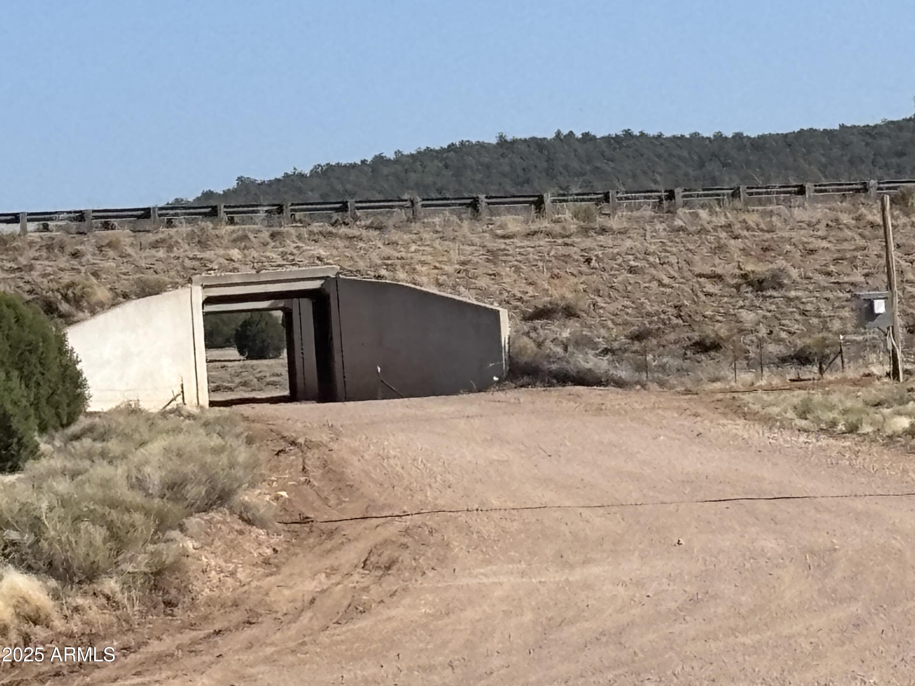 SIERRA VERDE RANCH UNIT 36 - Land