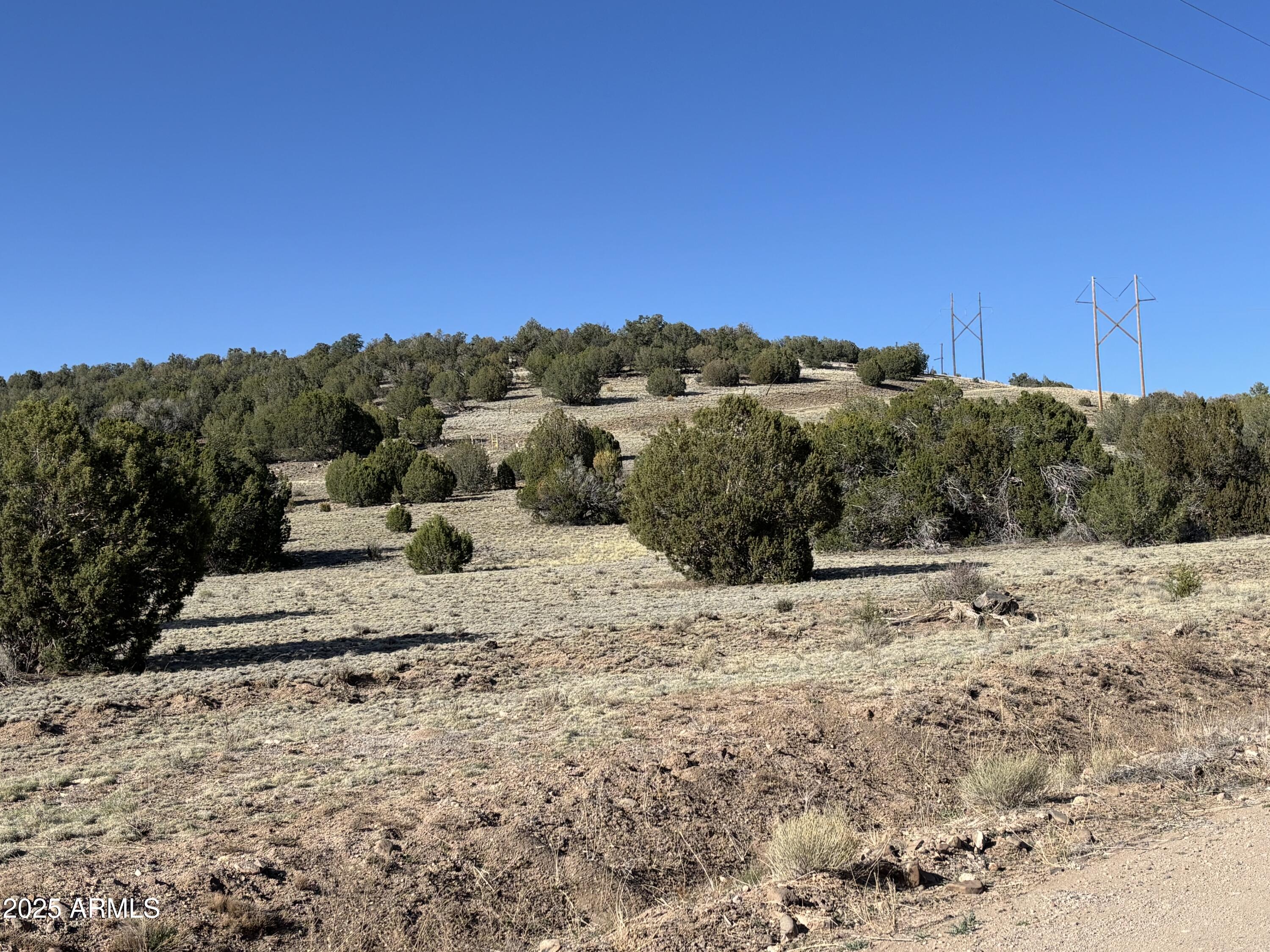 *Owner will carry*SIERRA VERDE RANCH* I-40 NEAR SELIGMAN- BUILD THE HOME OF YOUR DREAMS ON APPROX 47 ACRES PARCEL WITH ELECTRIC NEAR AND ACCESS TO SHARED WELL WITH SIERRA VERDE RANCH. PARCEL. BACKS TO STATE LAND. THIS IS A MUST SEE PROPERTY. IRREGULAR SHAPE NARROWS AT TOP OF HILL ALONG JOLLY ROAD AND WIDENS TOWARD THE NORTH BACKS UP TO MOUNTAIN , WEST SIDE ALONG AGAVE ROAD.