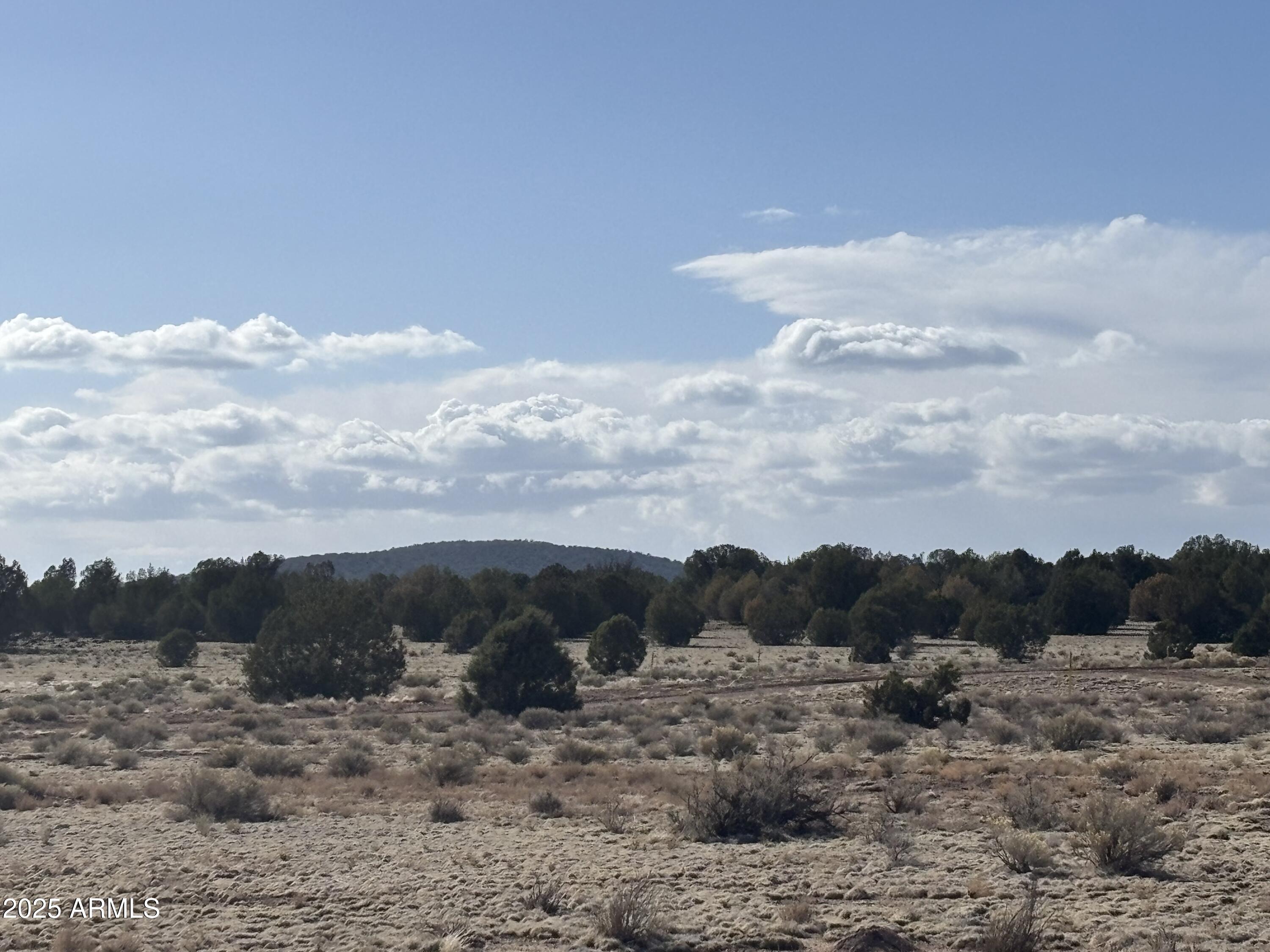 SIERRA VERDE RANCH UNIT 36 - Land