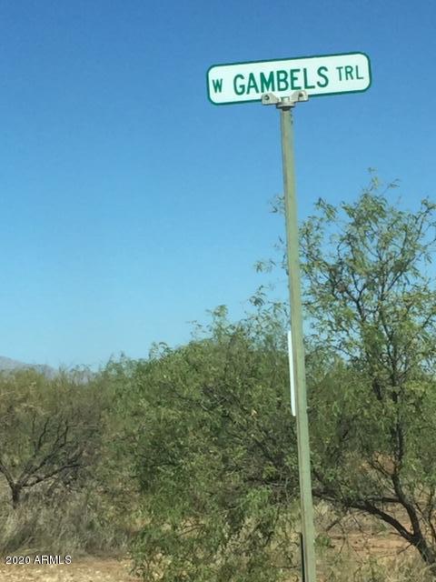 Build Your Home Site on this 4 Acres of LEVEL Land with GREAT Mountain Views! Backed up to the Babocomari Land Grant -  no neighbors to obstruct your view! Easy access to Tucson and Sierra Vista. Build your home on this 4.006 acres or all 17.169 acres!