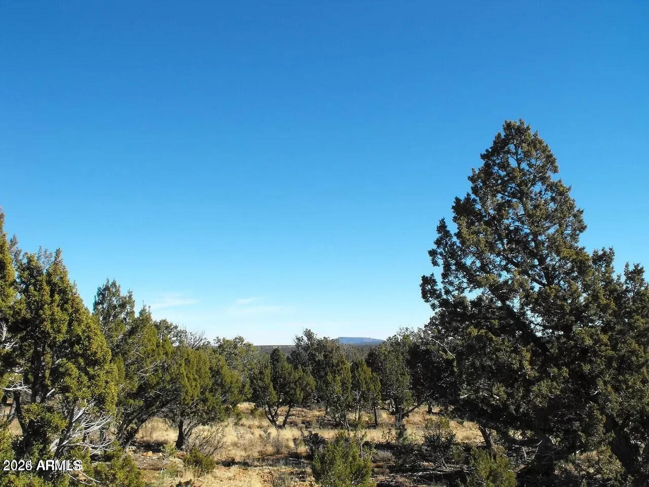 MOGOLLON RANCH 2 - Land
