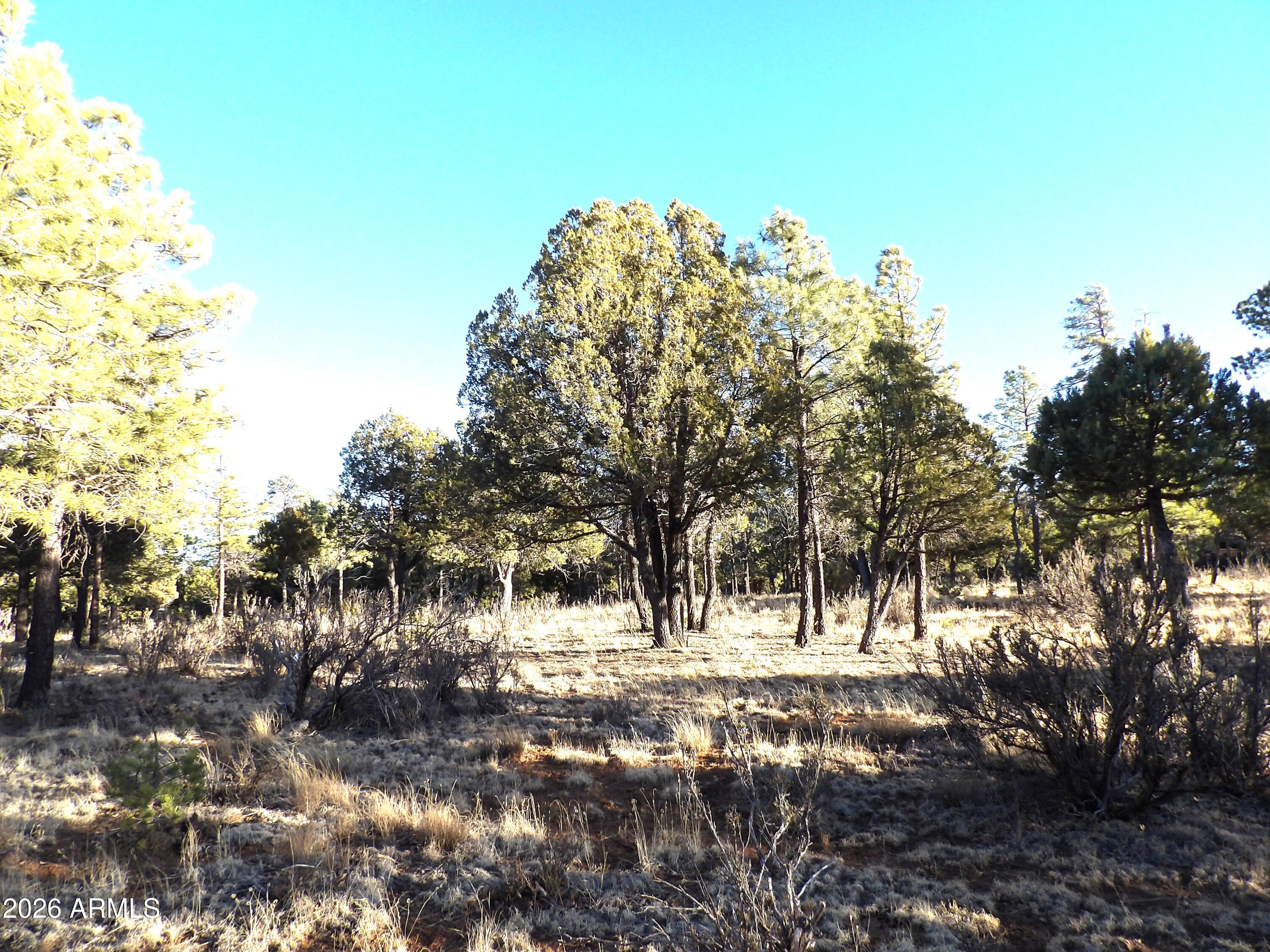TAMARRON PINES PHASE 4 - Land